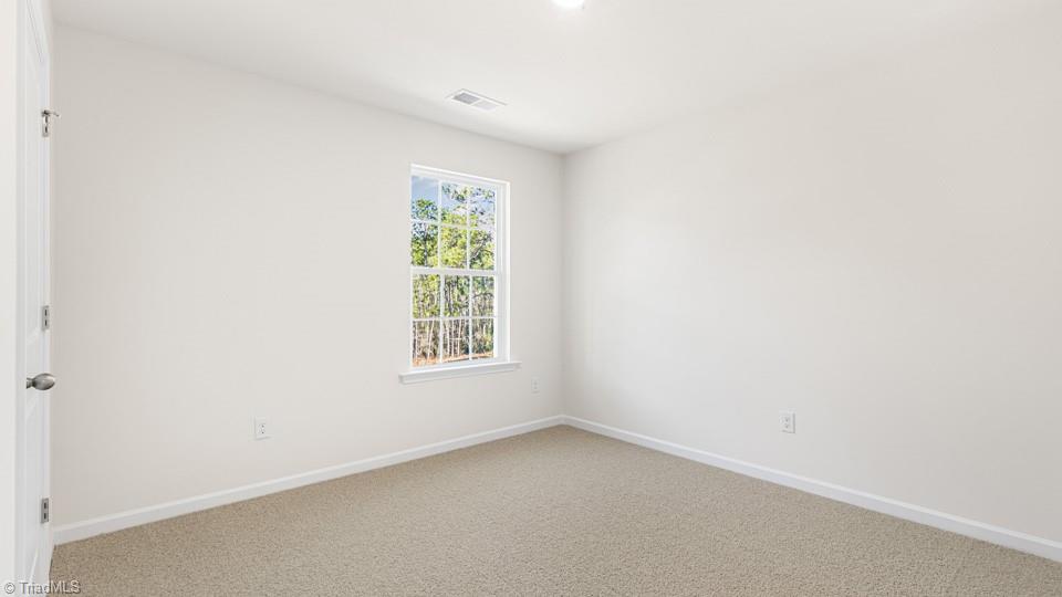 4909 Reedy Creek Farm Circle