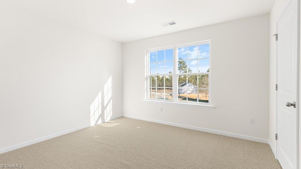 4909 Reedy Creek Farm Circle