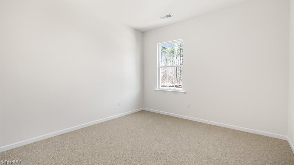 4909 Reedy Creek Farm Circle