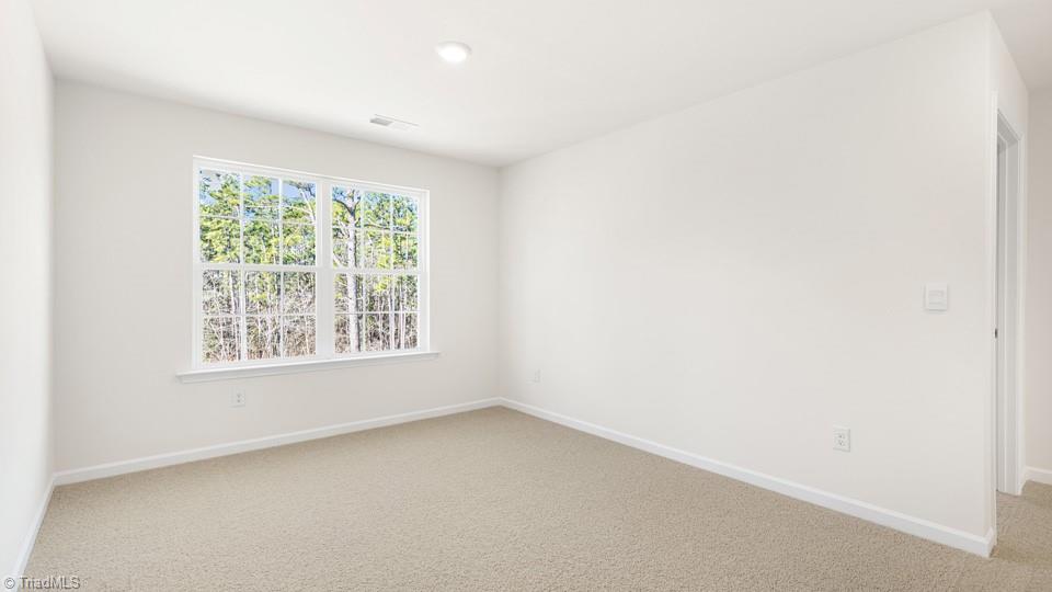 4909 Reedy Creek Farm Circle