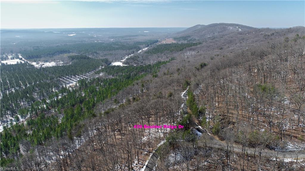 439 Boulder Ridge Drive