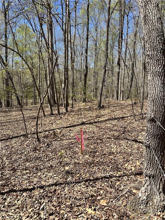 9274 US Highway 64 W