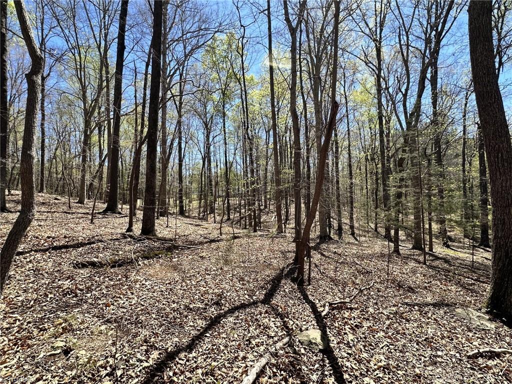 9274 US Highway 64 W