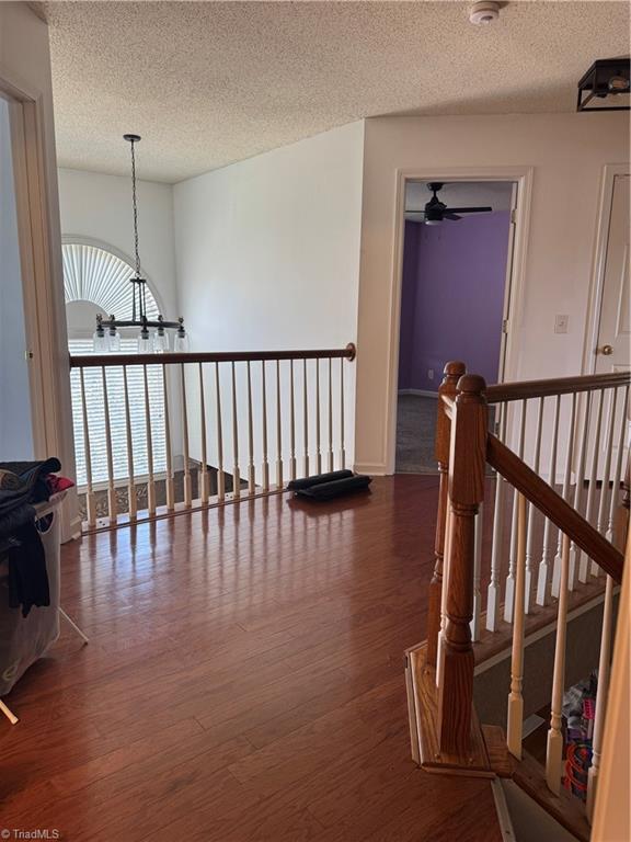 2202 Mclaughlin Drive
