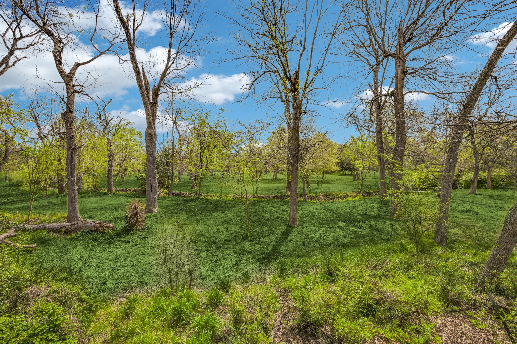 7224 Alexander Drive