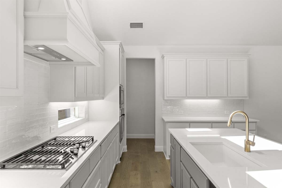 3505 Paintbrush Path