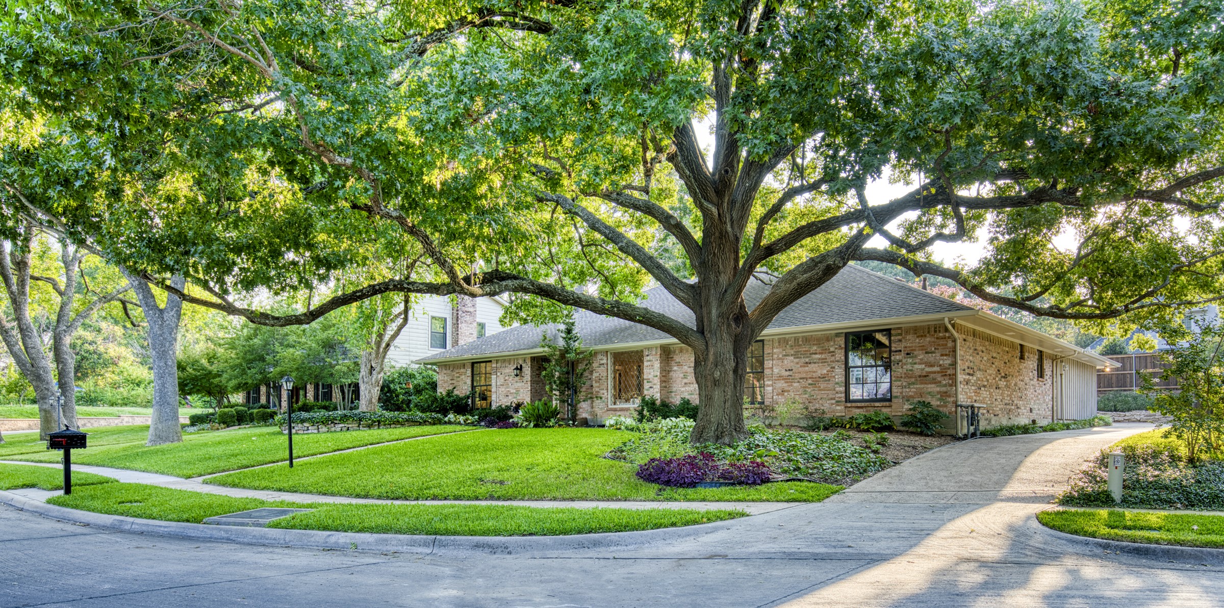 9 Shadywood Place