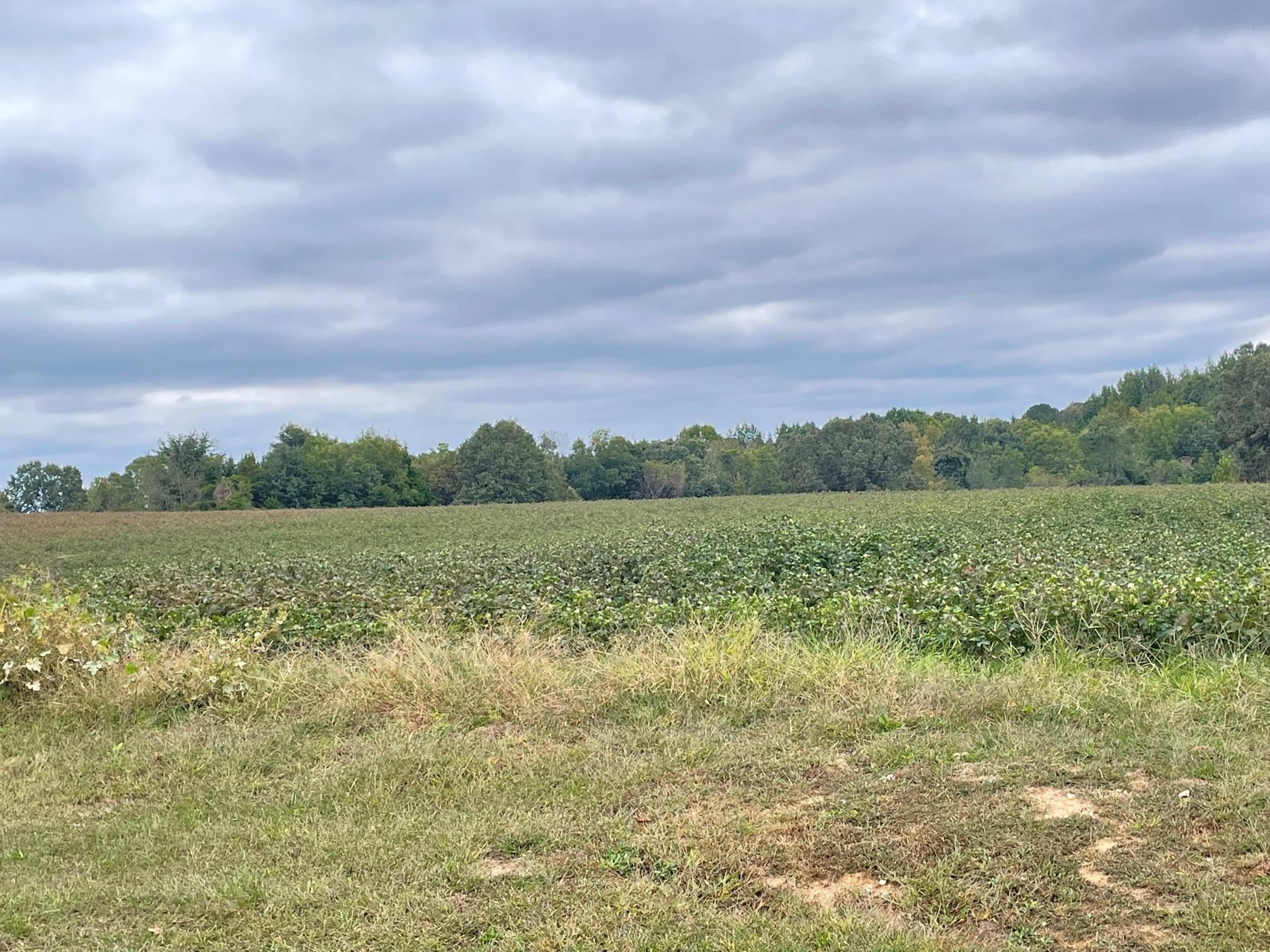 2000 Hopewell Road