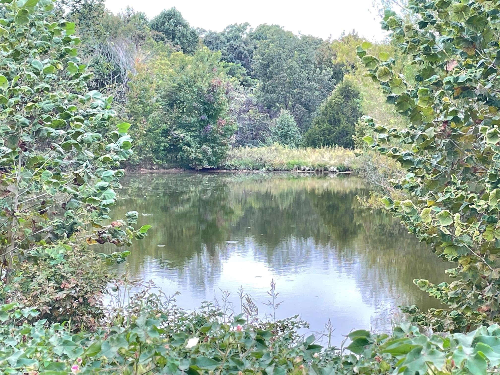 2000 Hopewell Road