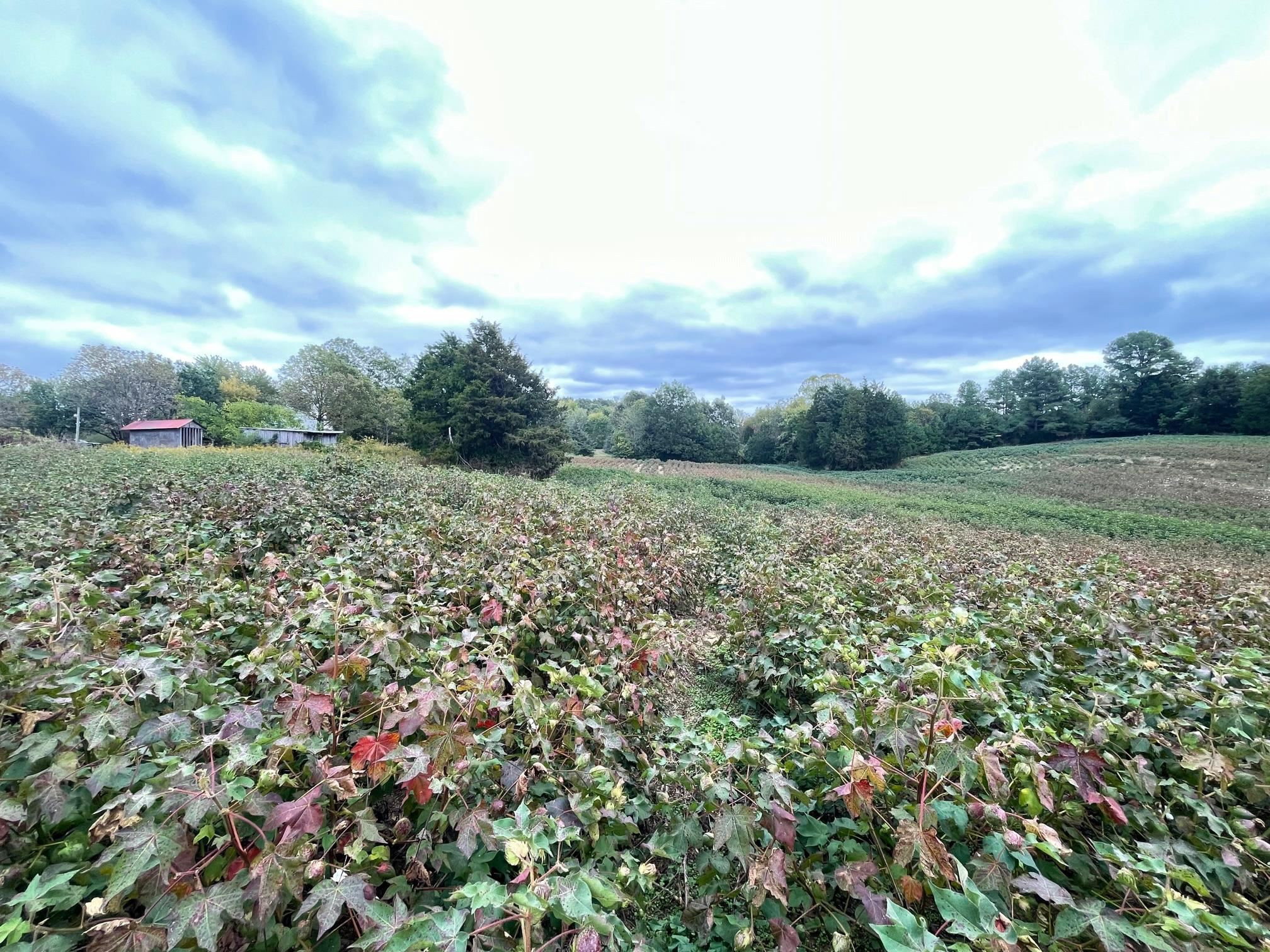 2000 Hopewell Road