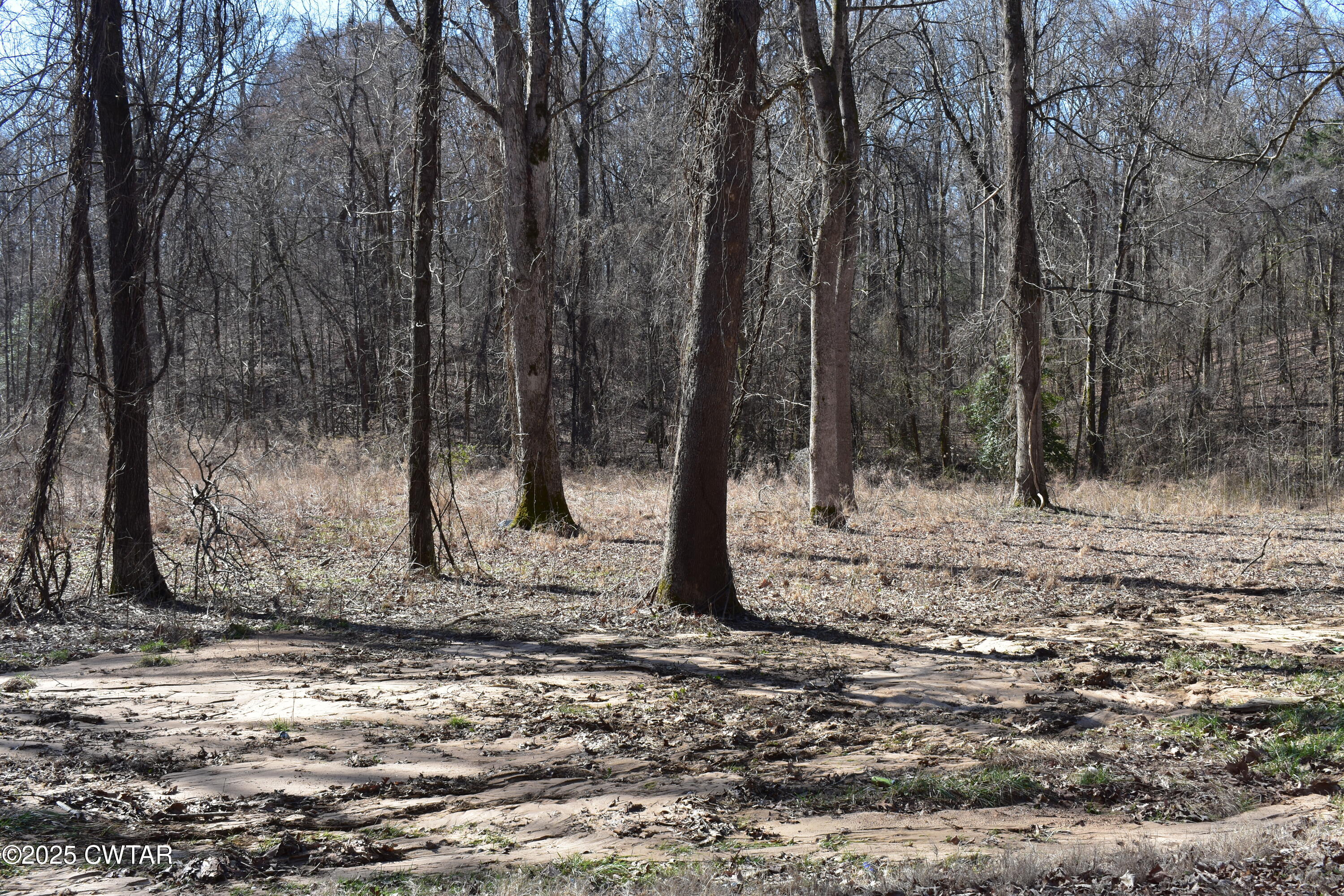 00 E Lakewood Drive E