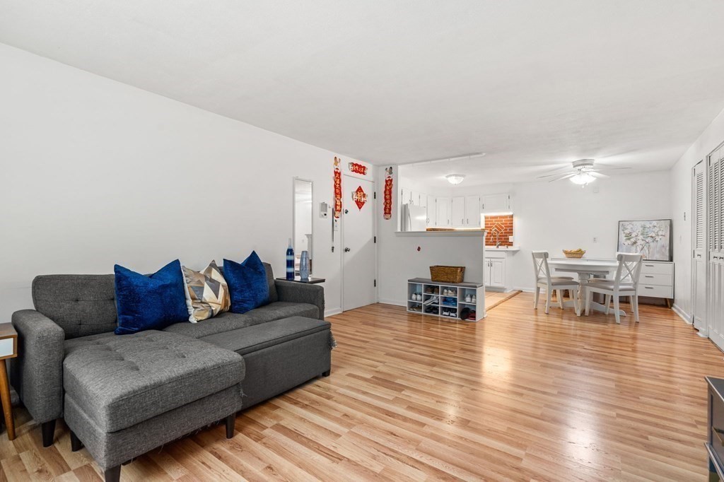 4 Albert Dr # 2