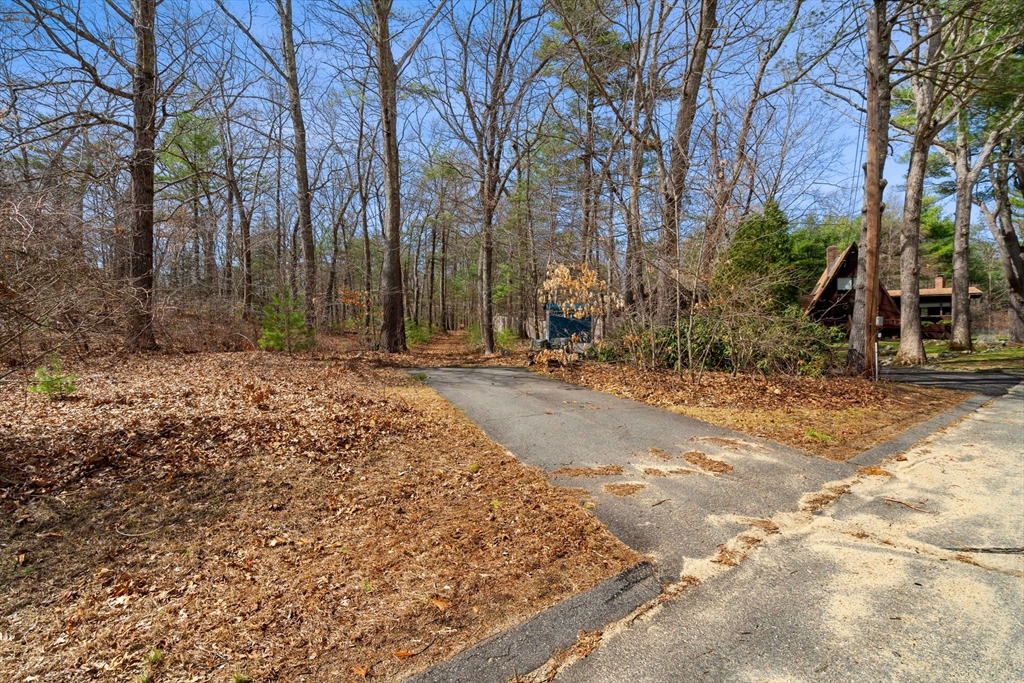 83 Thurlow St