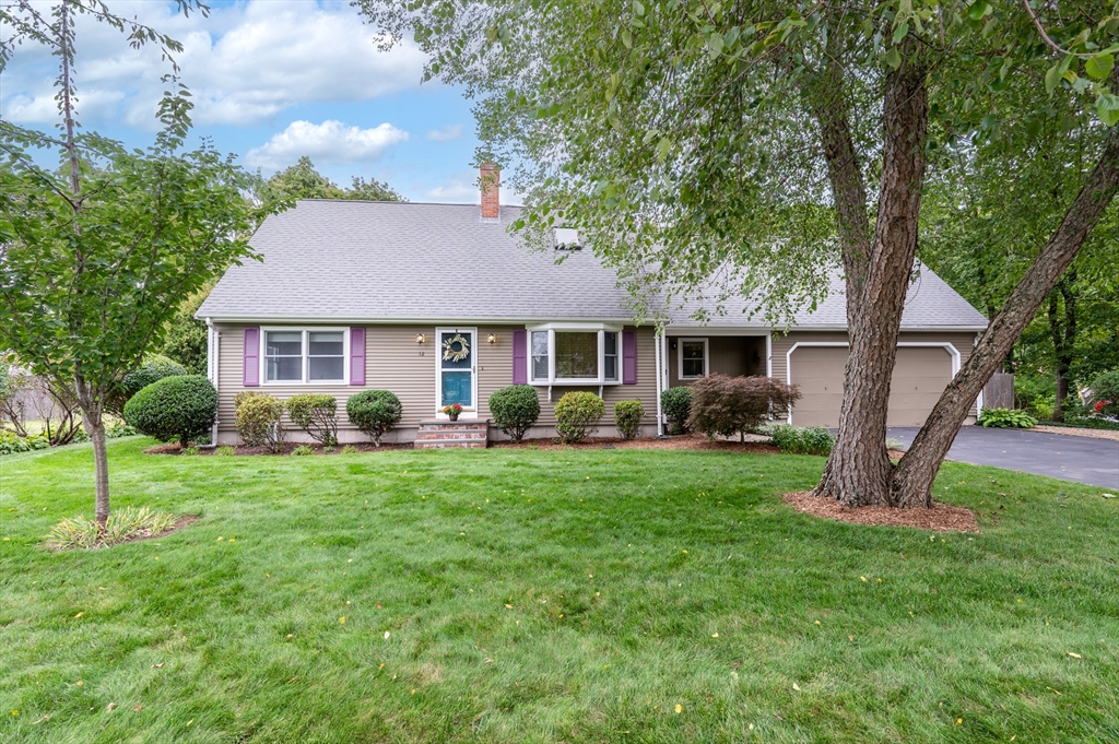12 Wilson Pl