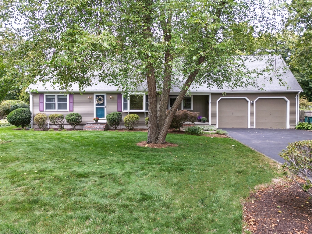 12 Wilson Pl