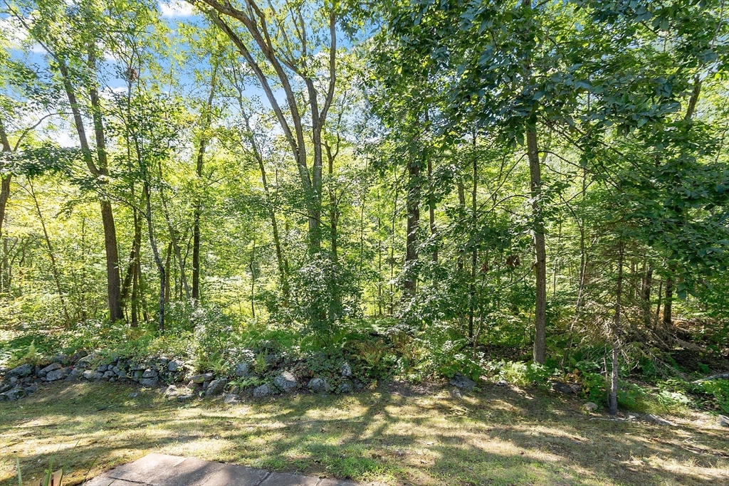 36 Indian Camp Lane # D