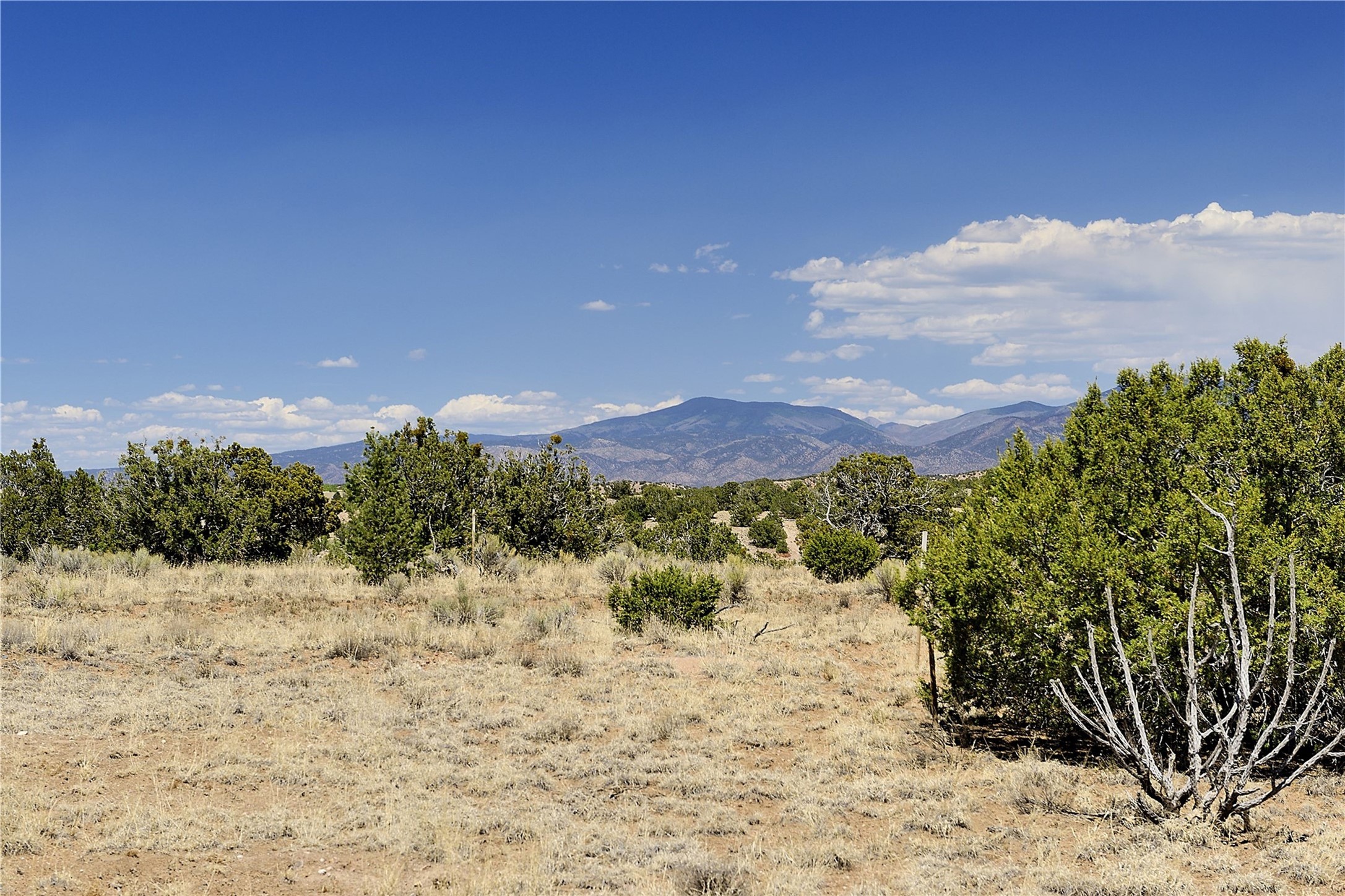 65 Chisholm Trail Lot 54