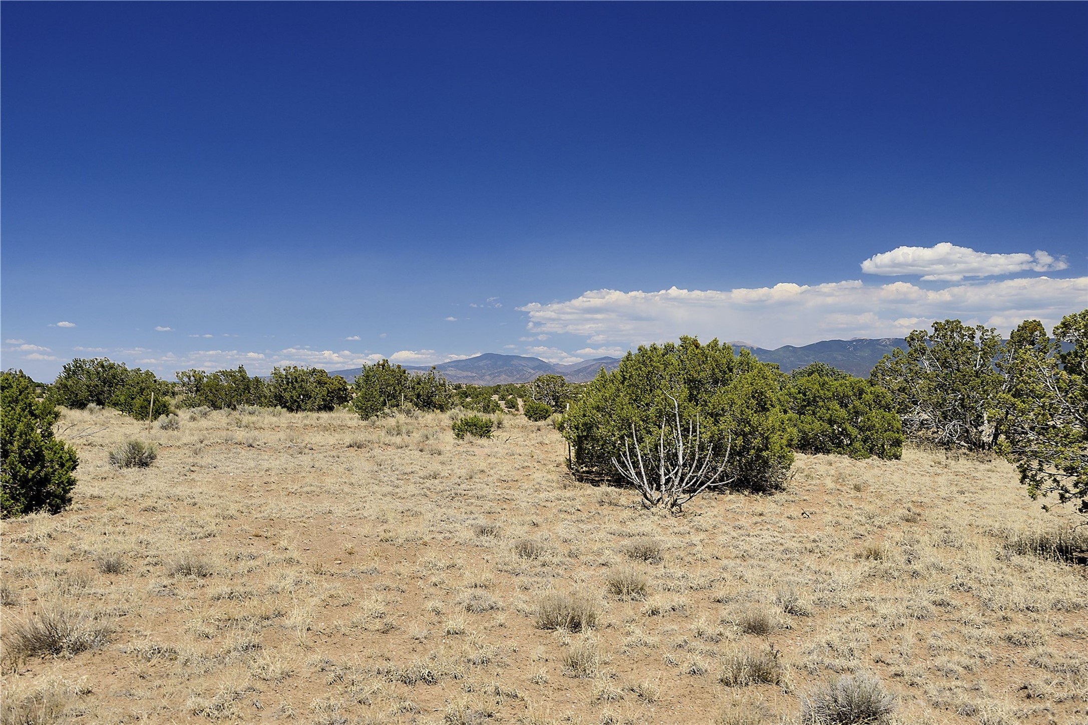 65 Chisholm Trail Lot 54