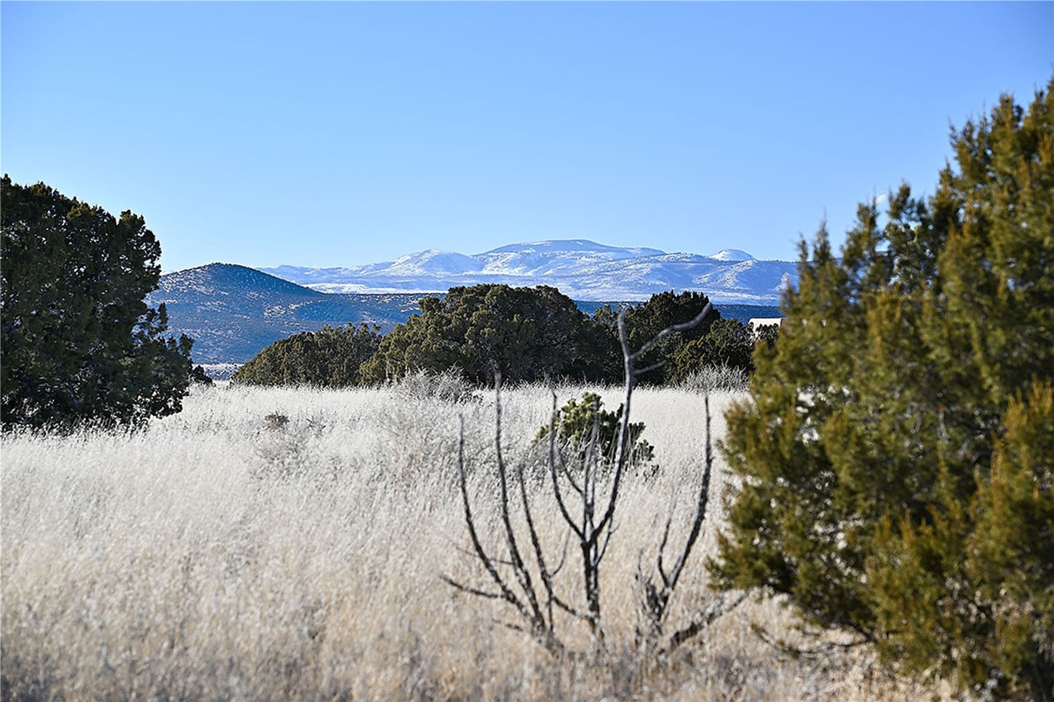 65 Chisholm Trail Lot 54