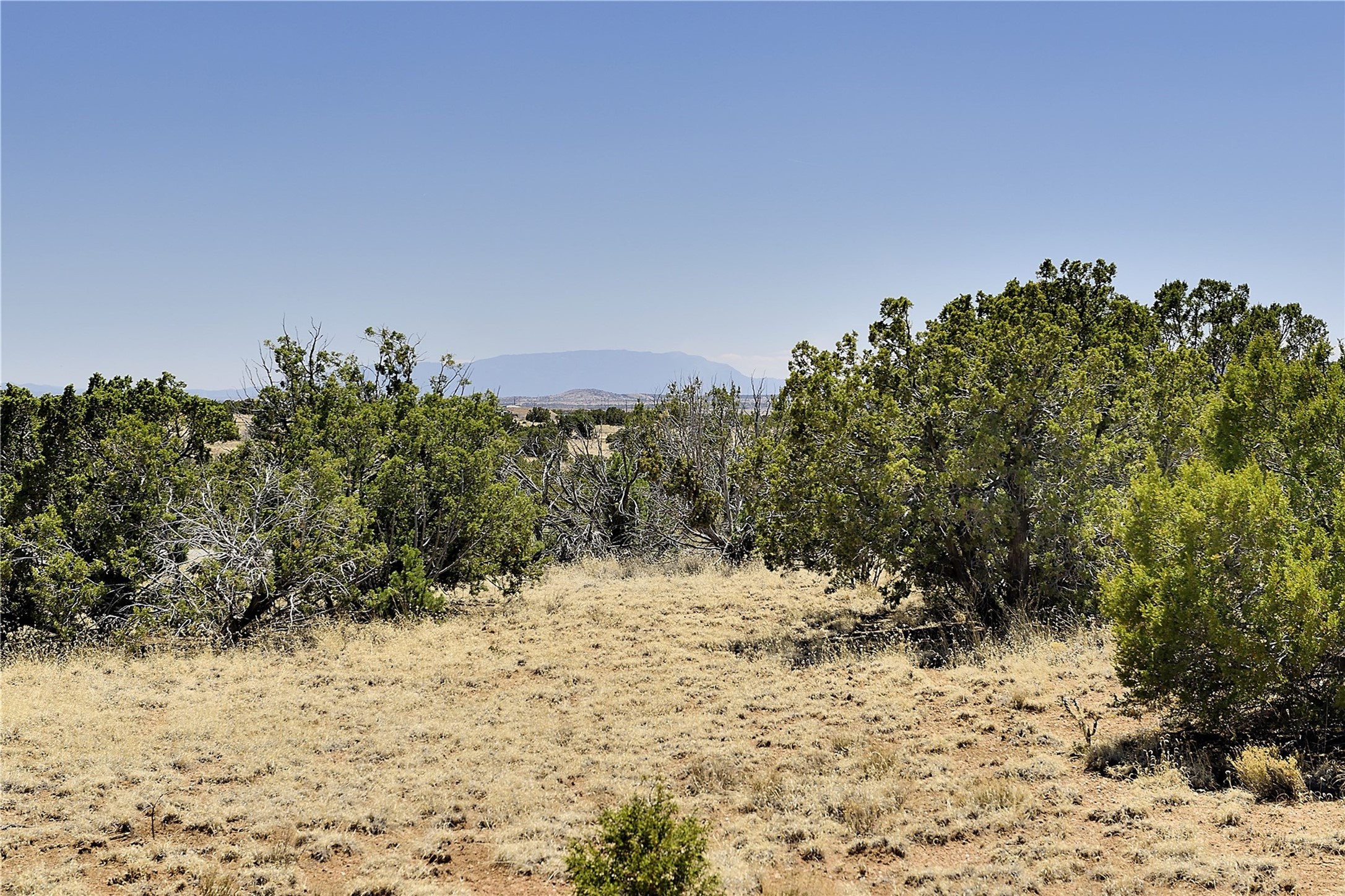 65 Chisholm Trail Lot 54