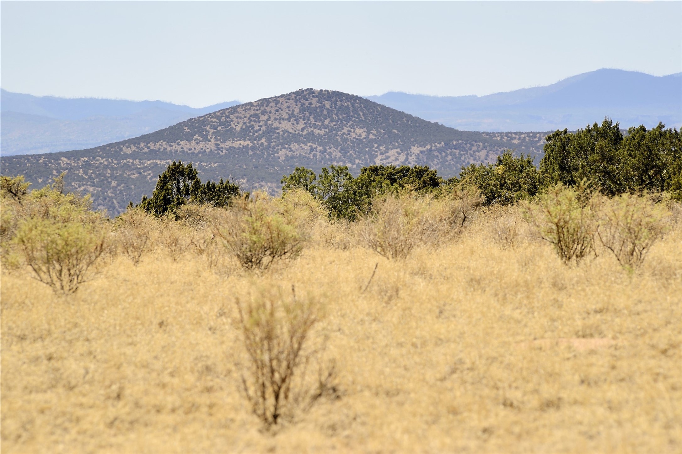 65 Chisholm Trail Lot 54