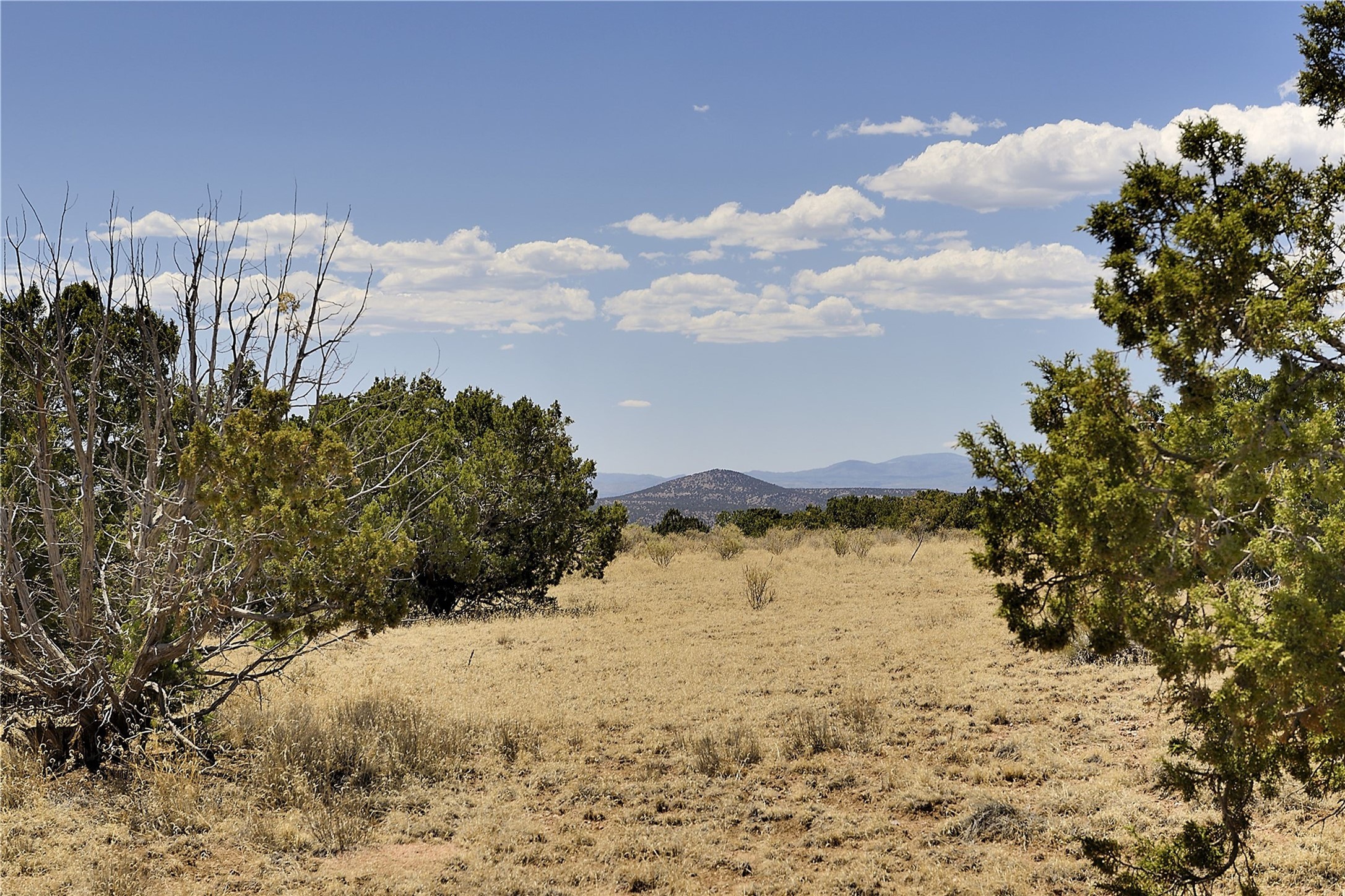 65 Chisholm Trail Lot 54