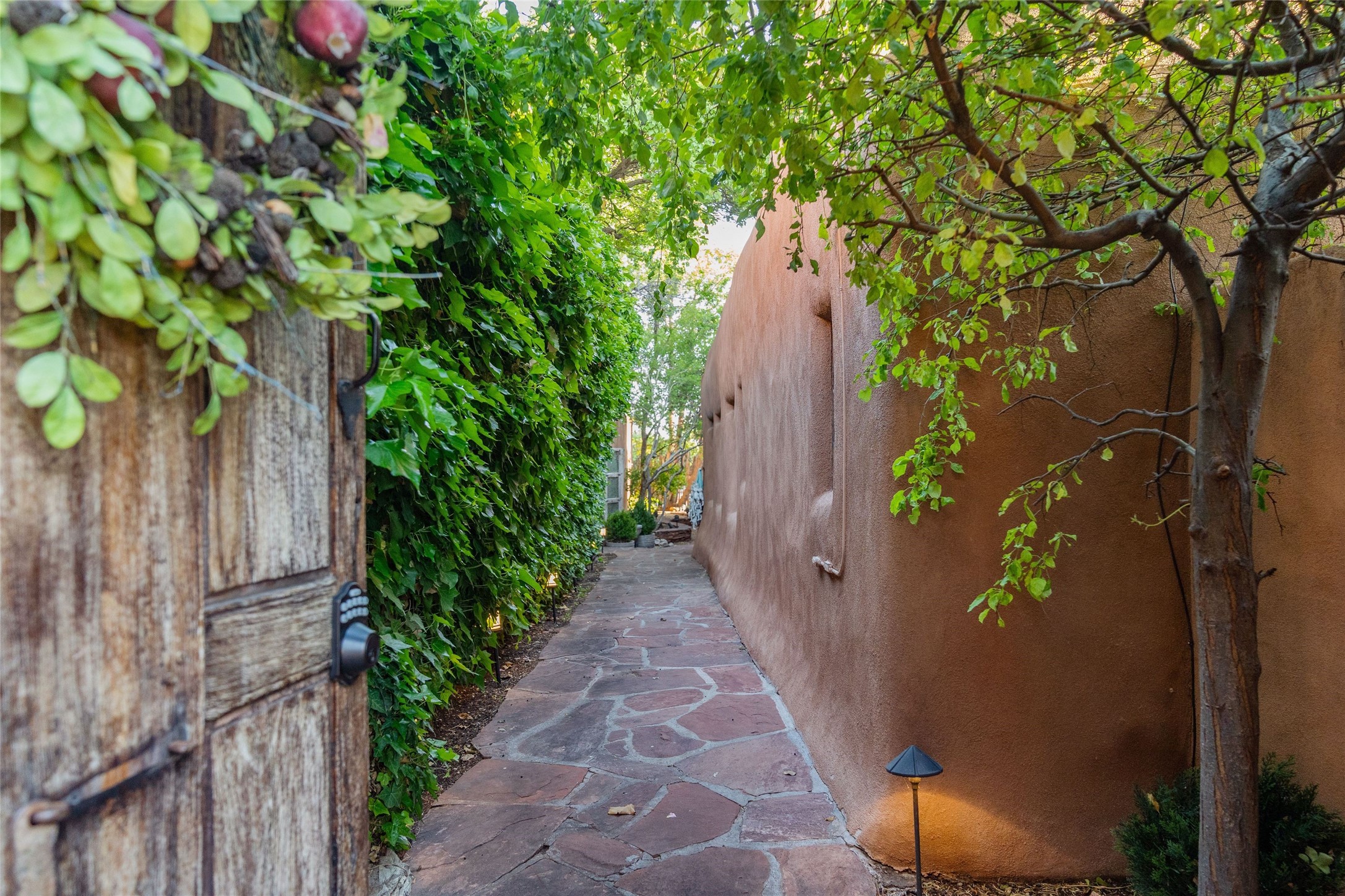 333 Magdalena Road