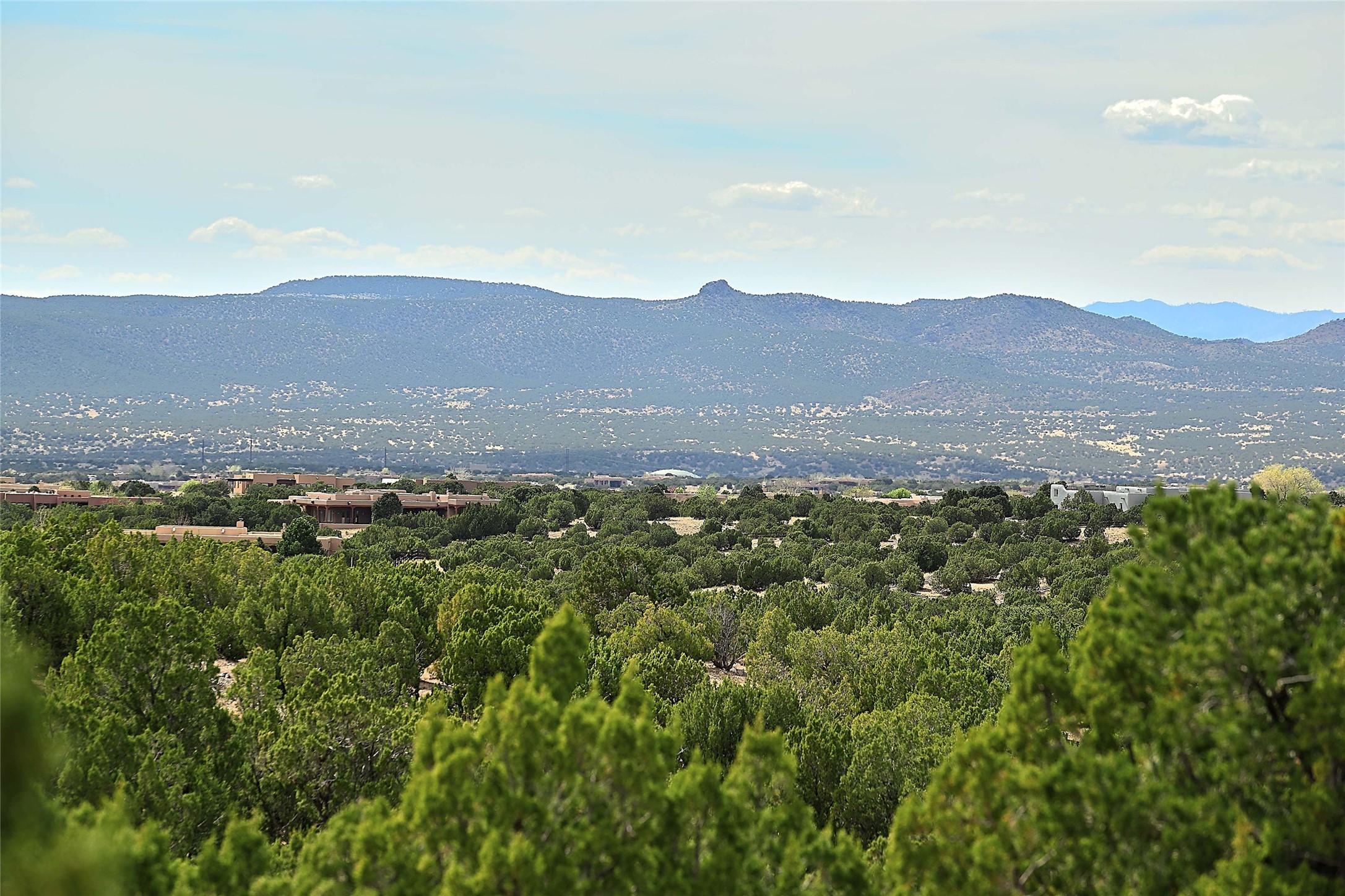 12 Parsley Circle