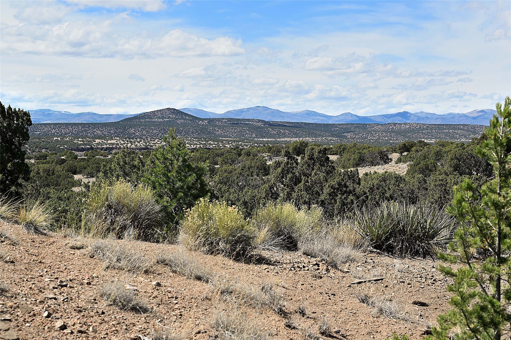 20 Hacienda Caballero