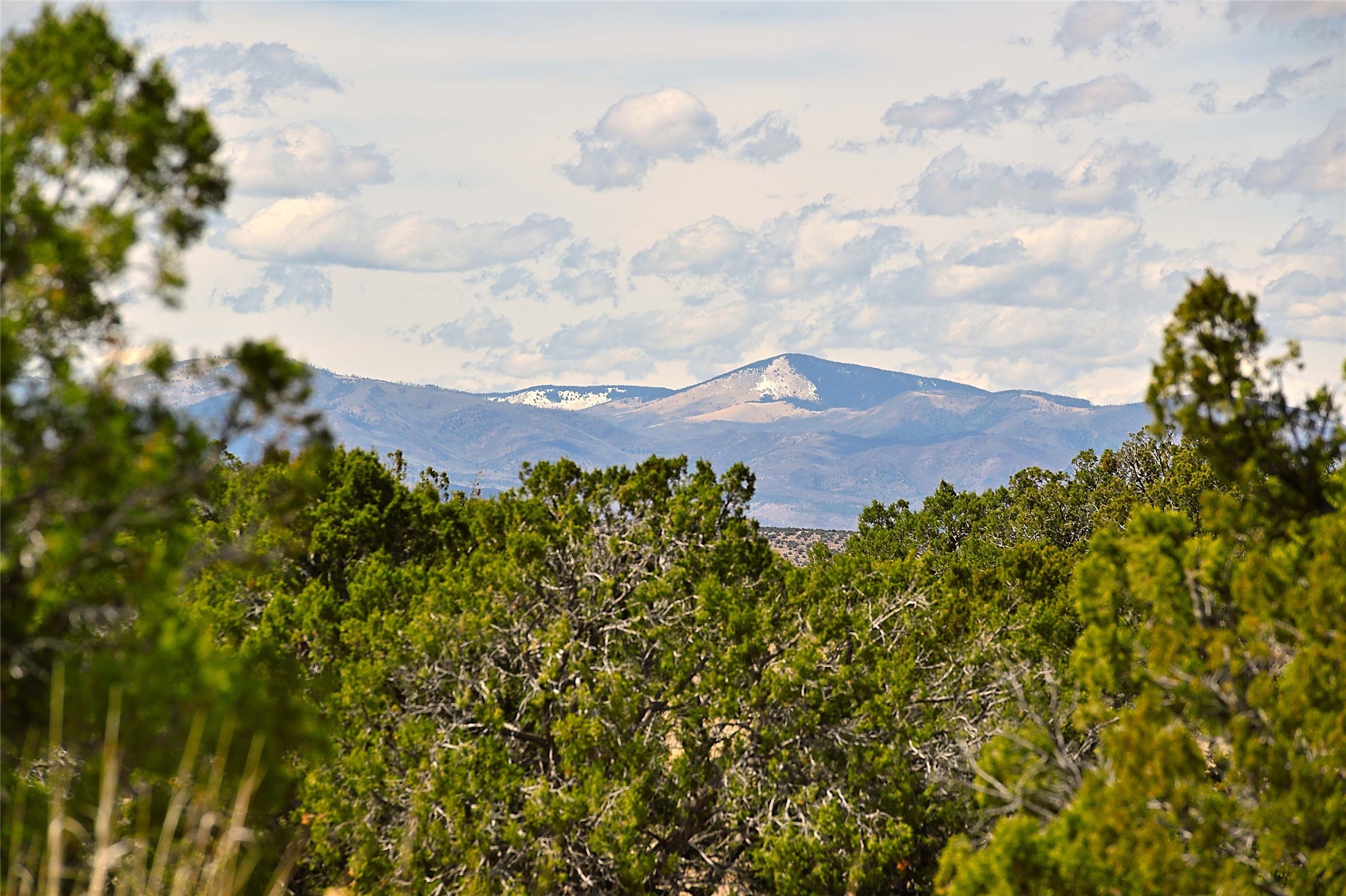 20 Hacienda Caballero