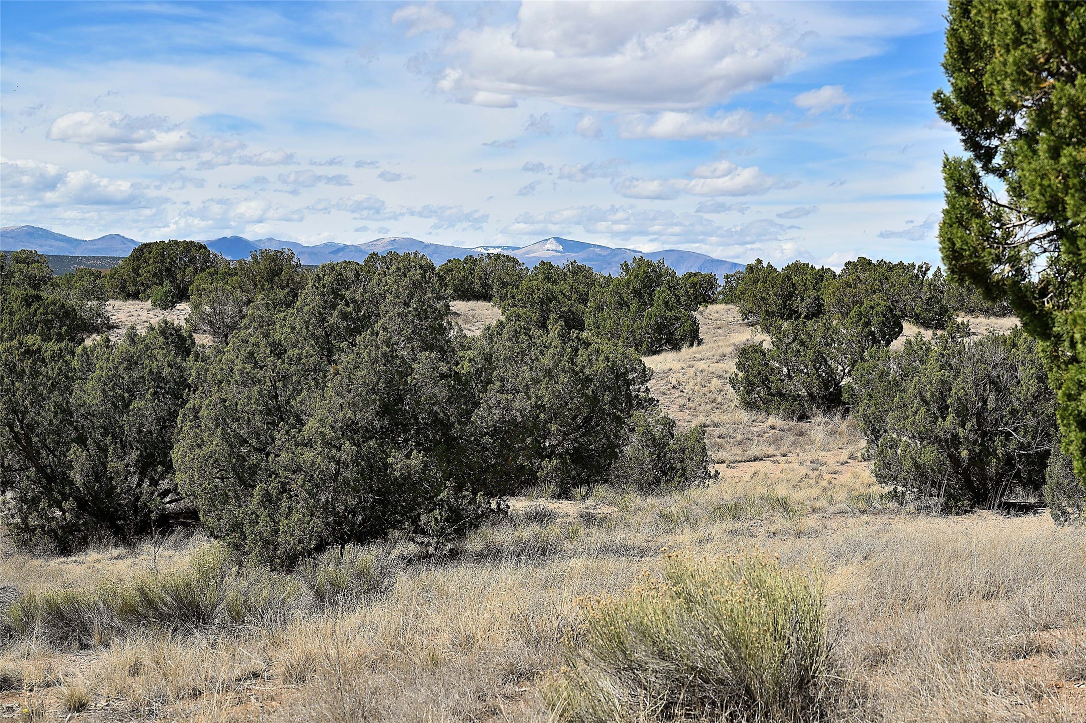 20 Hacienda Caballero