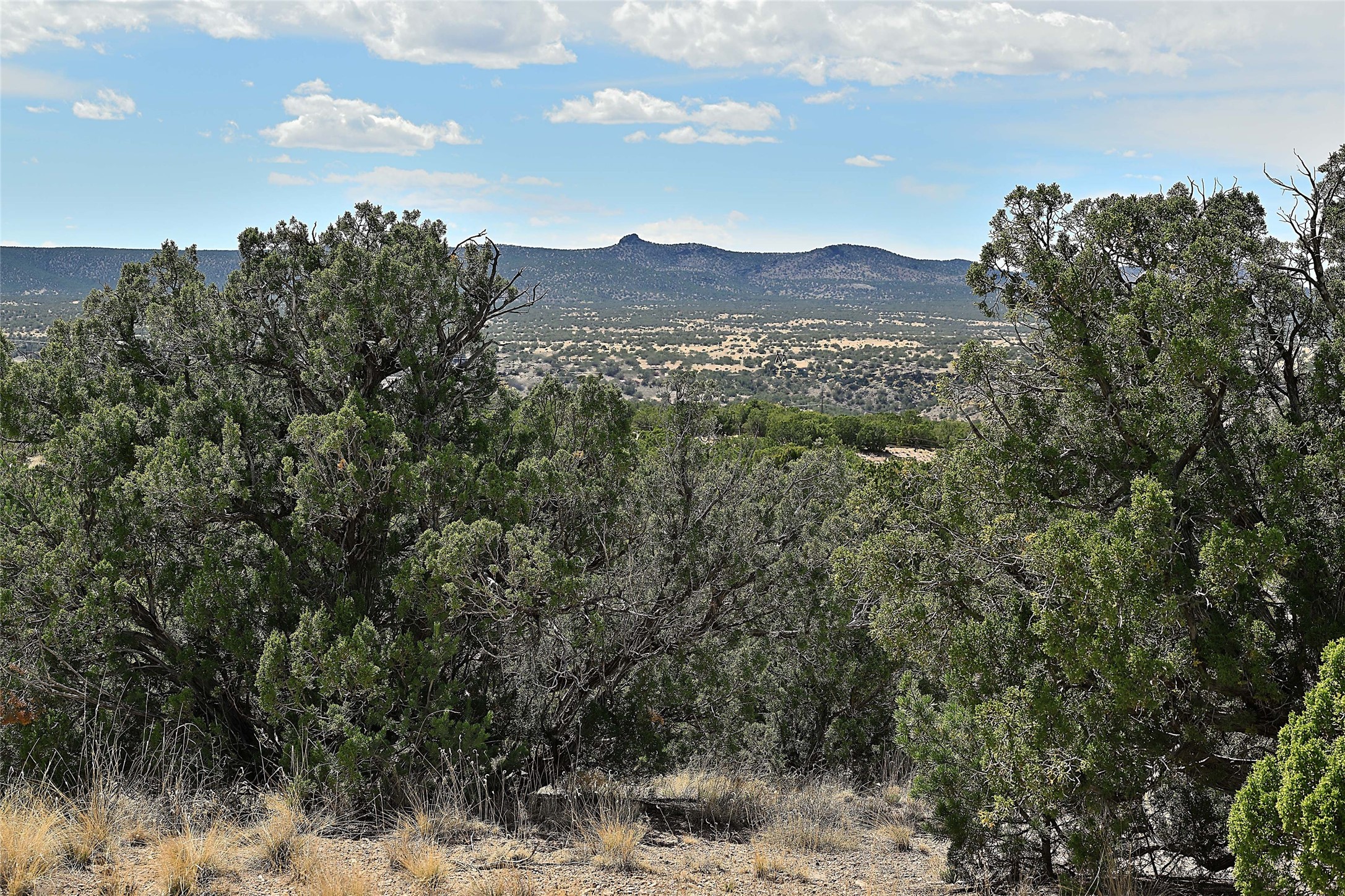 20 Hacienda Caballero