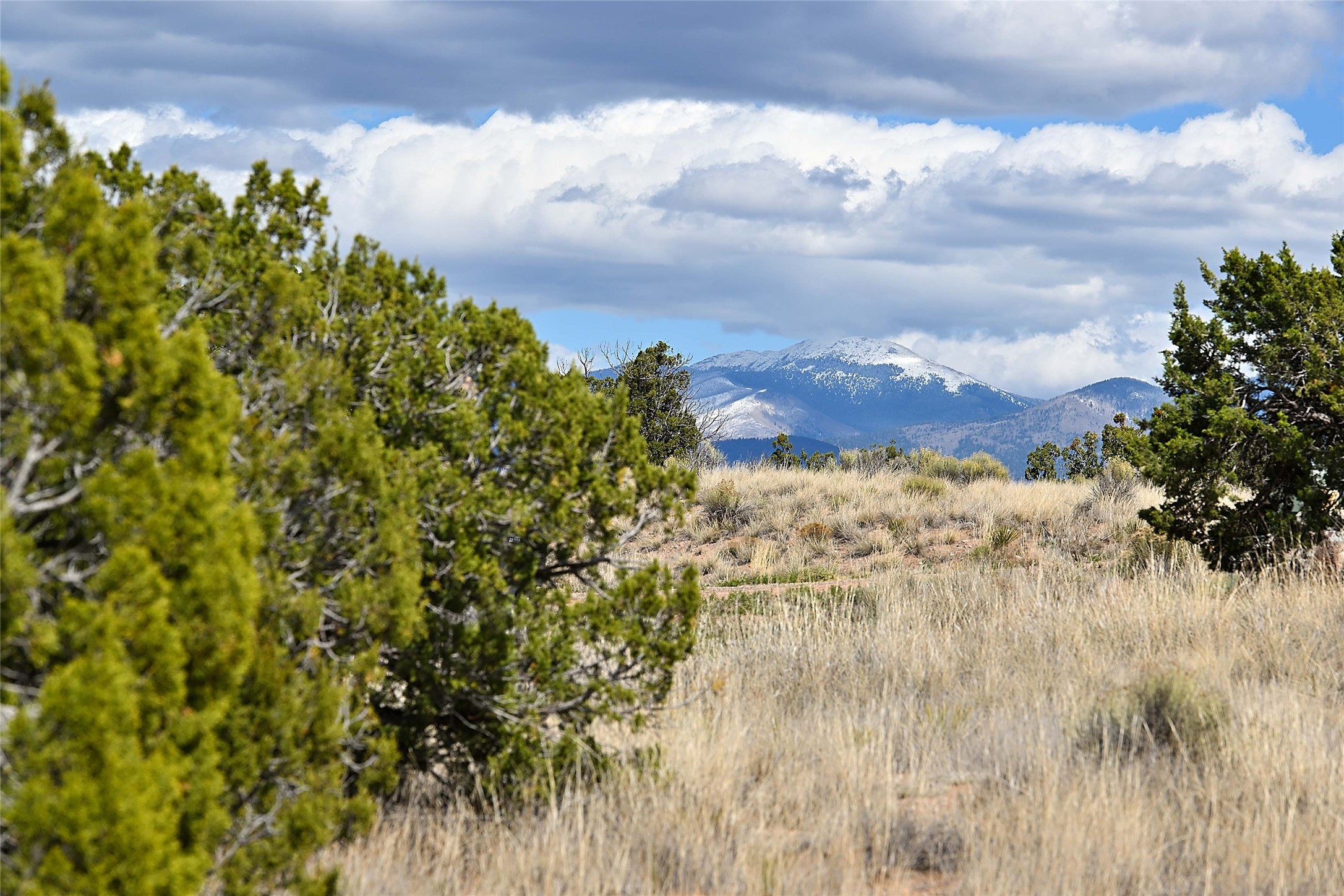 20 Hacienda Caballero