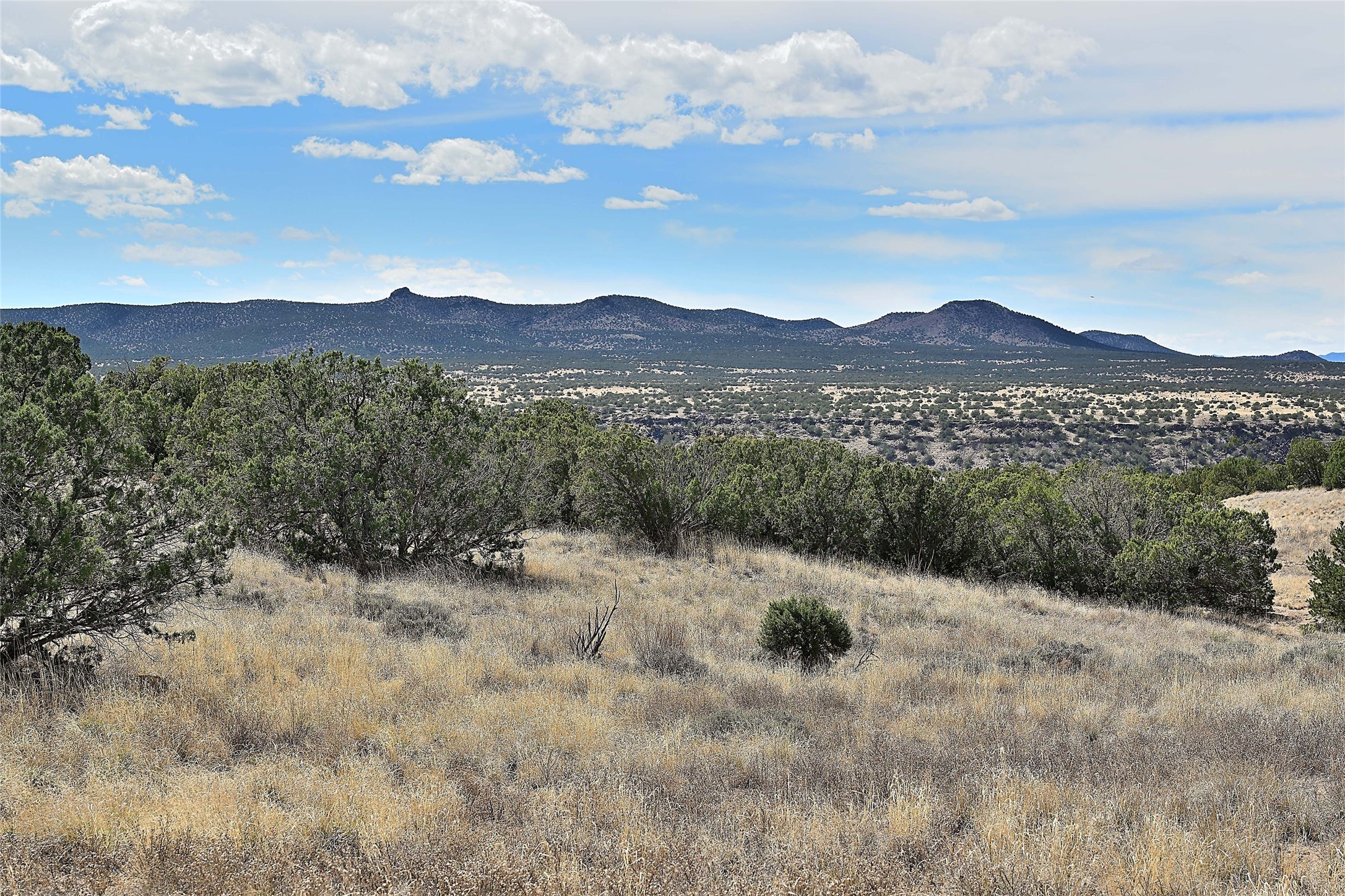 20 Hacienda Caballero