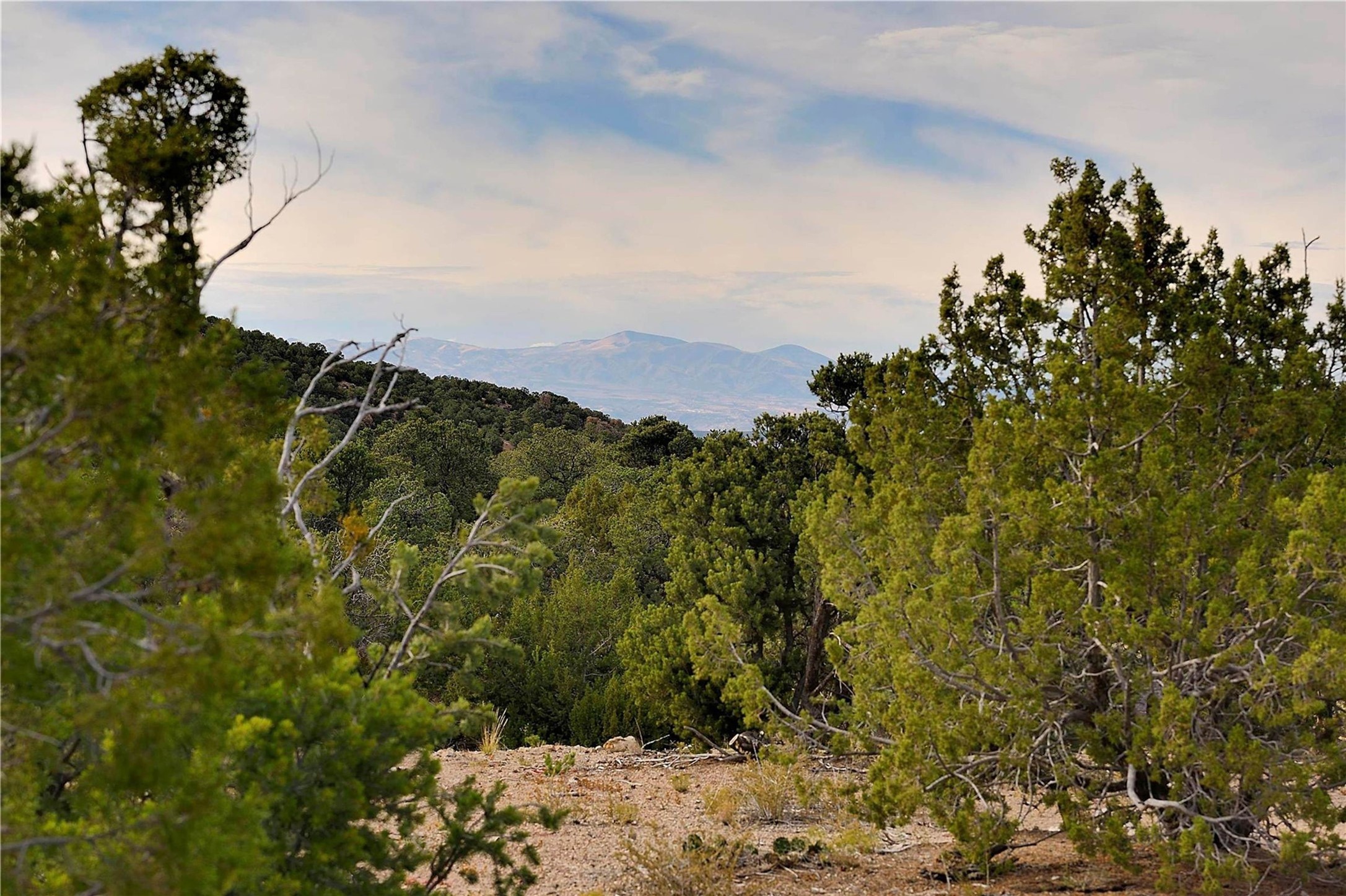 1109 S Summit Ridge