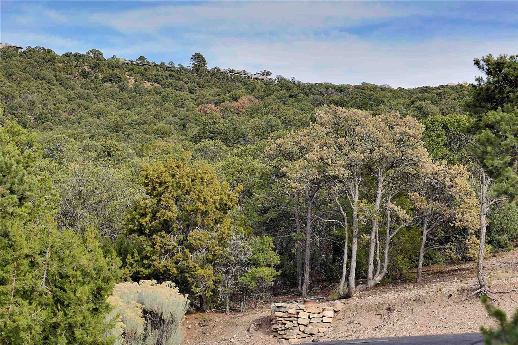 1109 S Summit Ridge