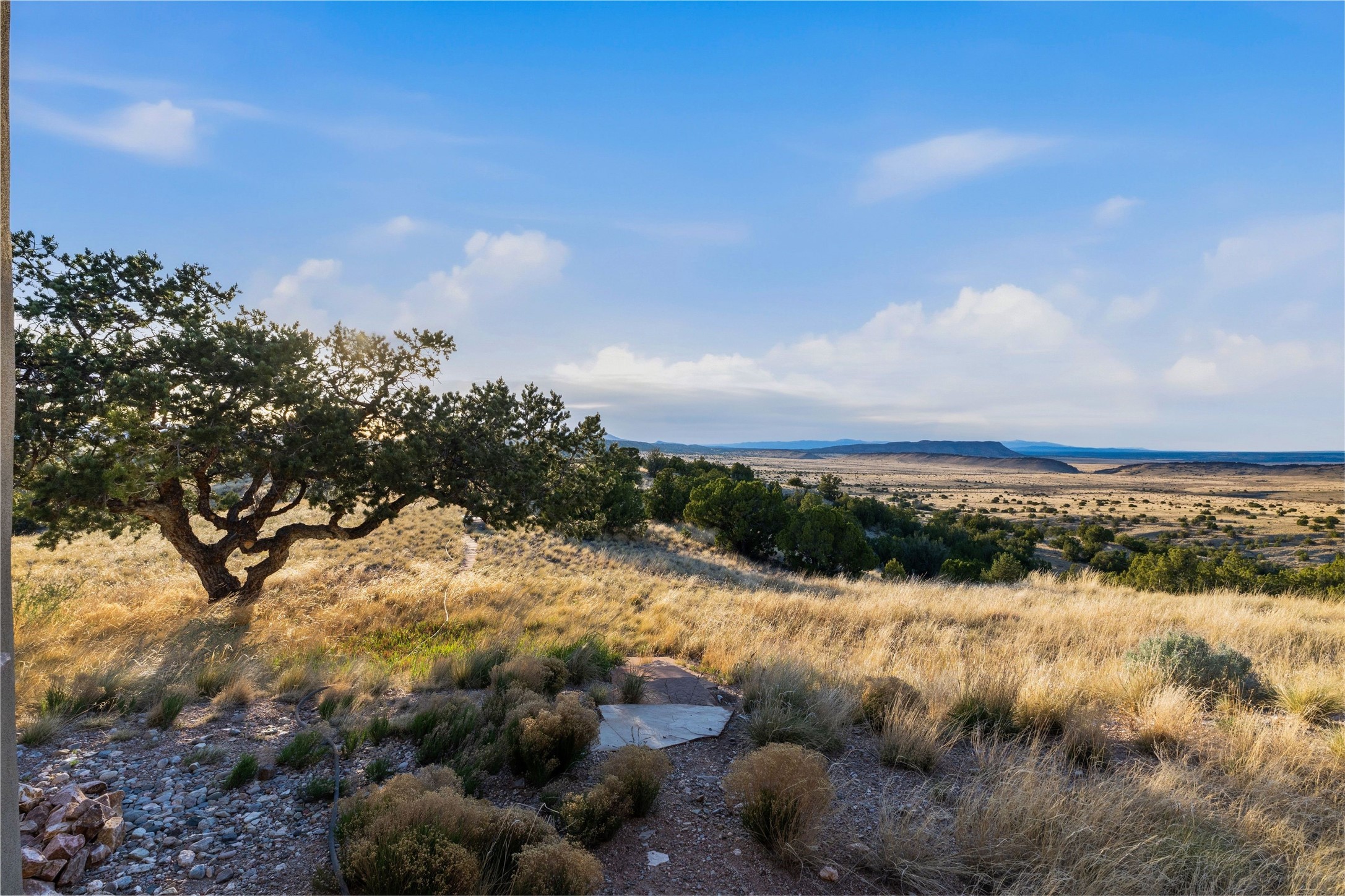 91 Pine Ranch Road