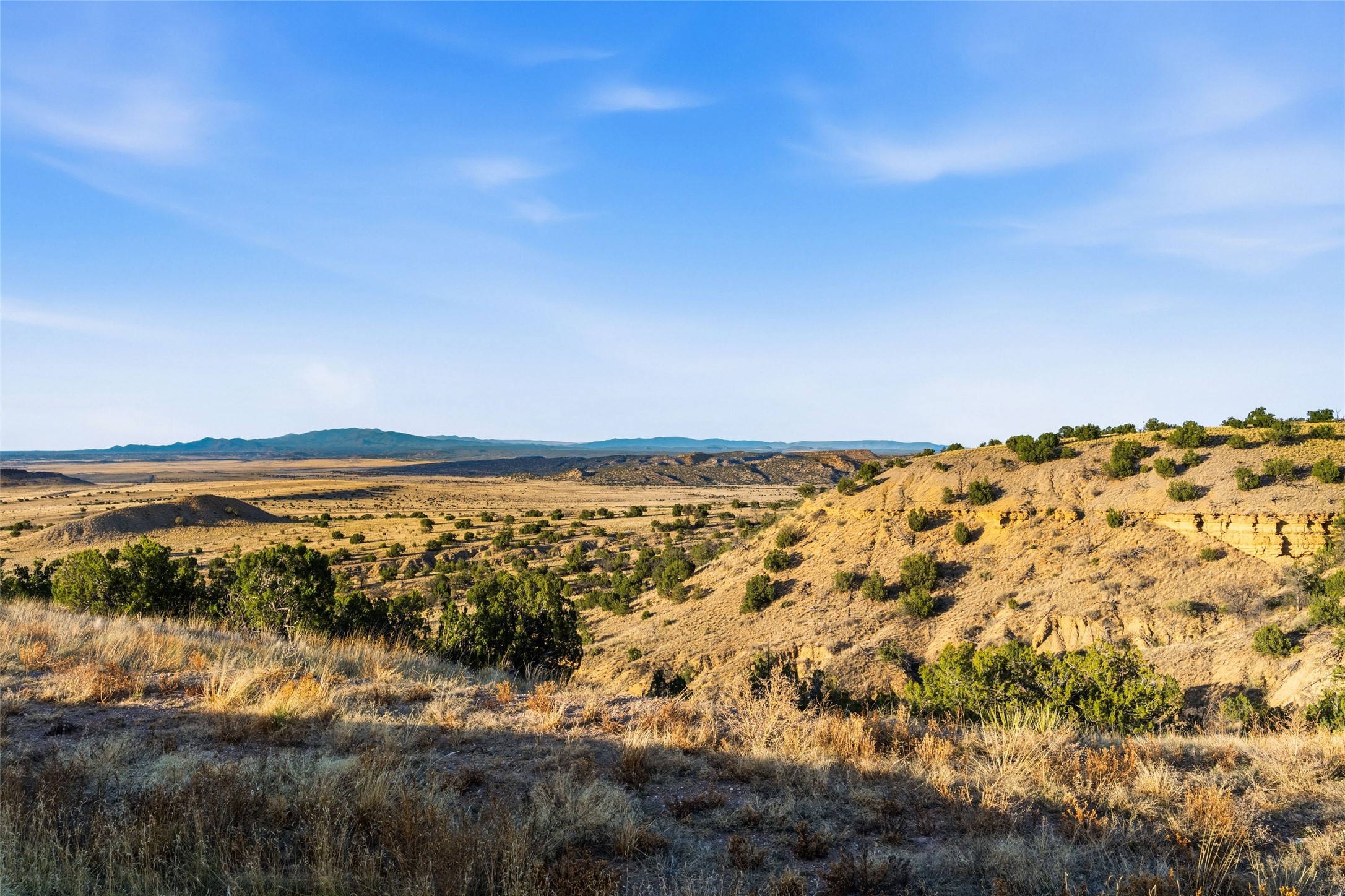 91 Pine Ranch Road