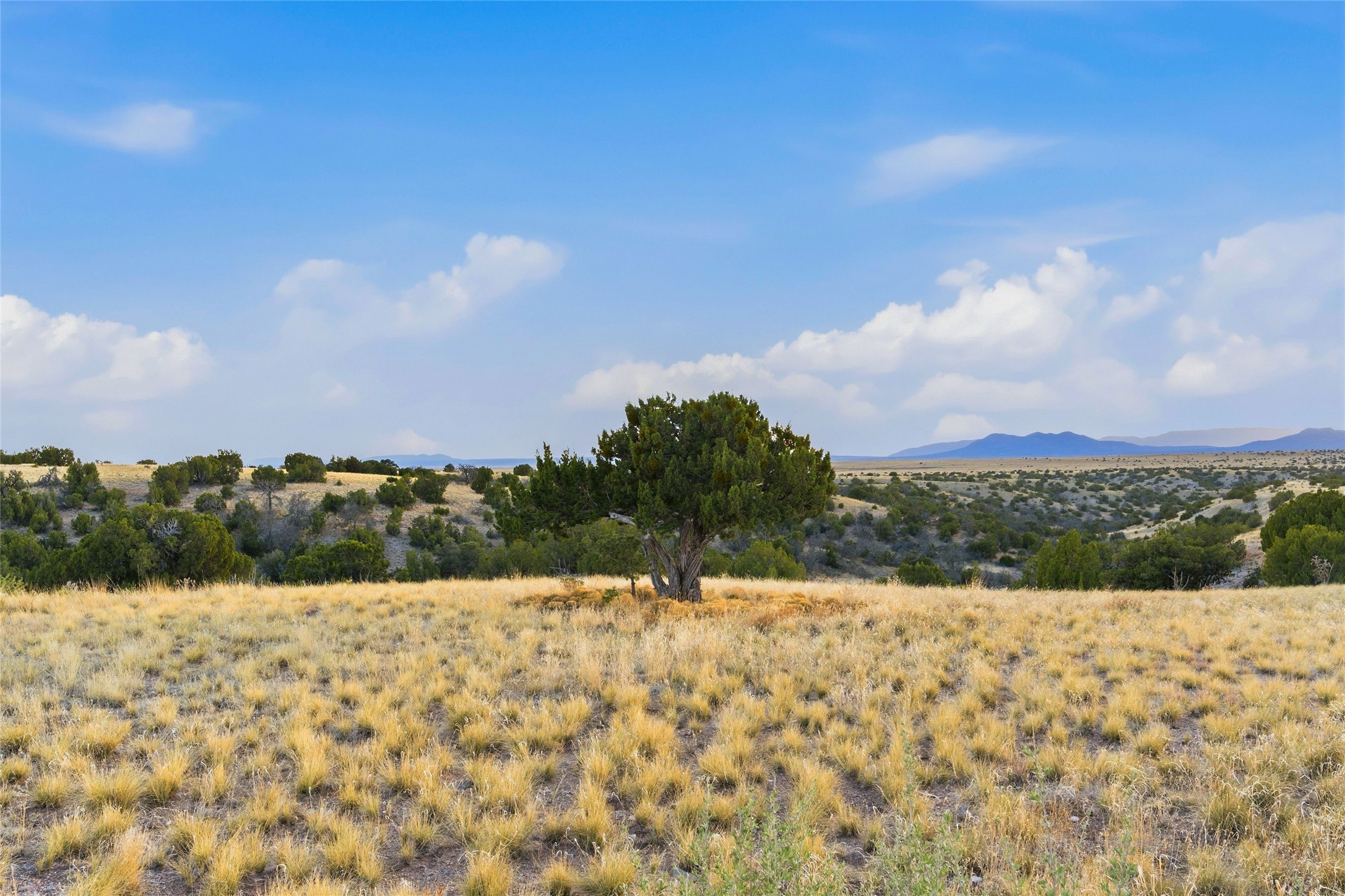 91 Pine Ranch Road