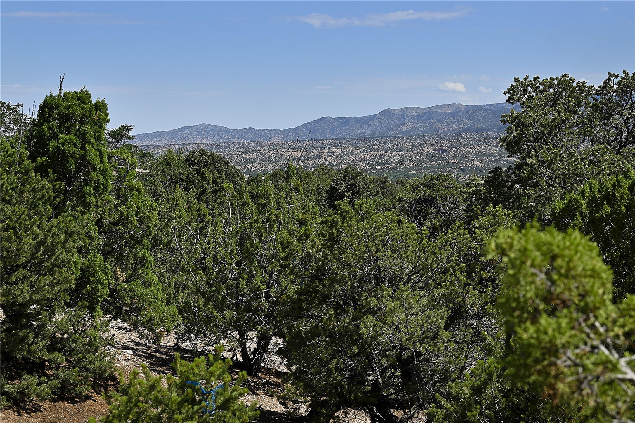 2928 Aspen View
