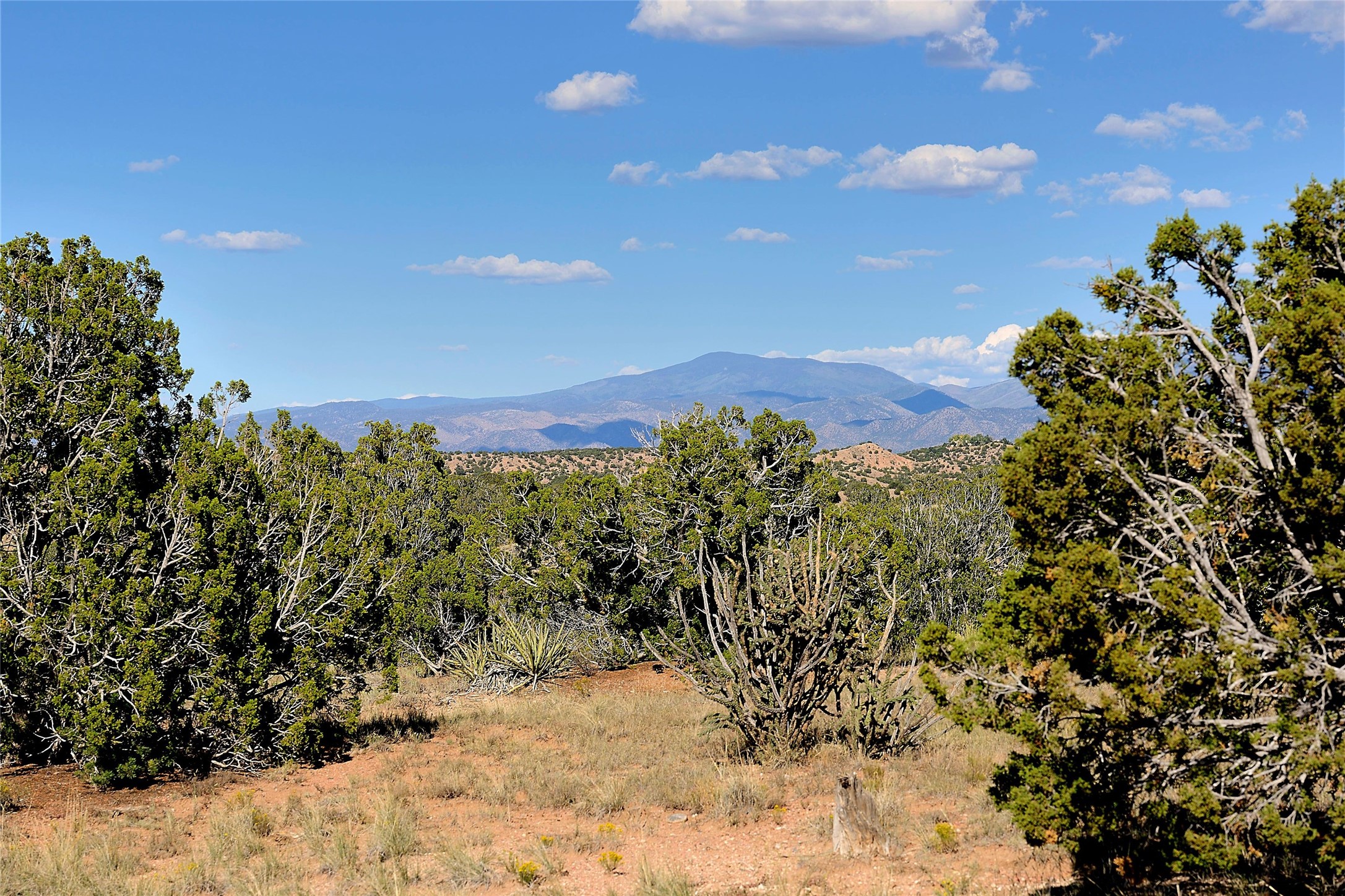 157 Chisholm Trail Lot 46