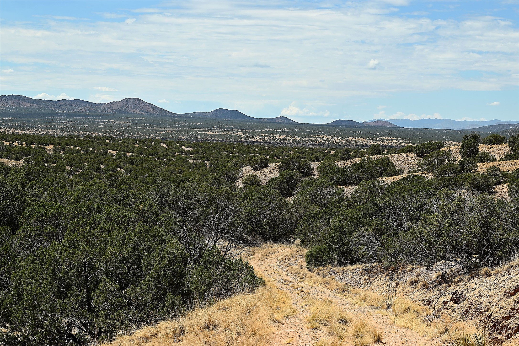 157 Chisholm Trail Lot 46