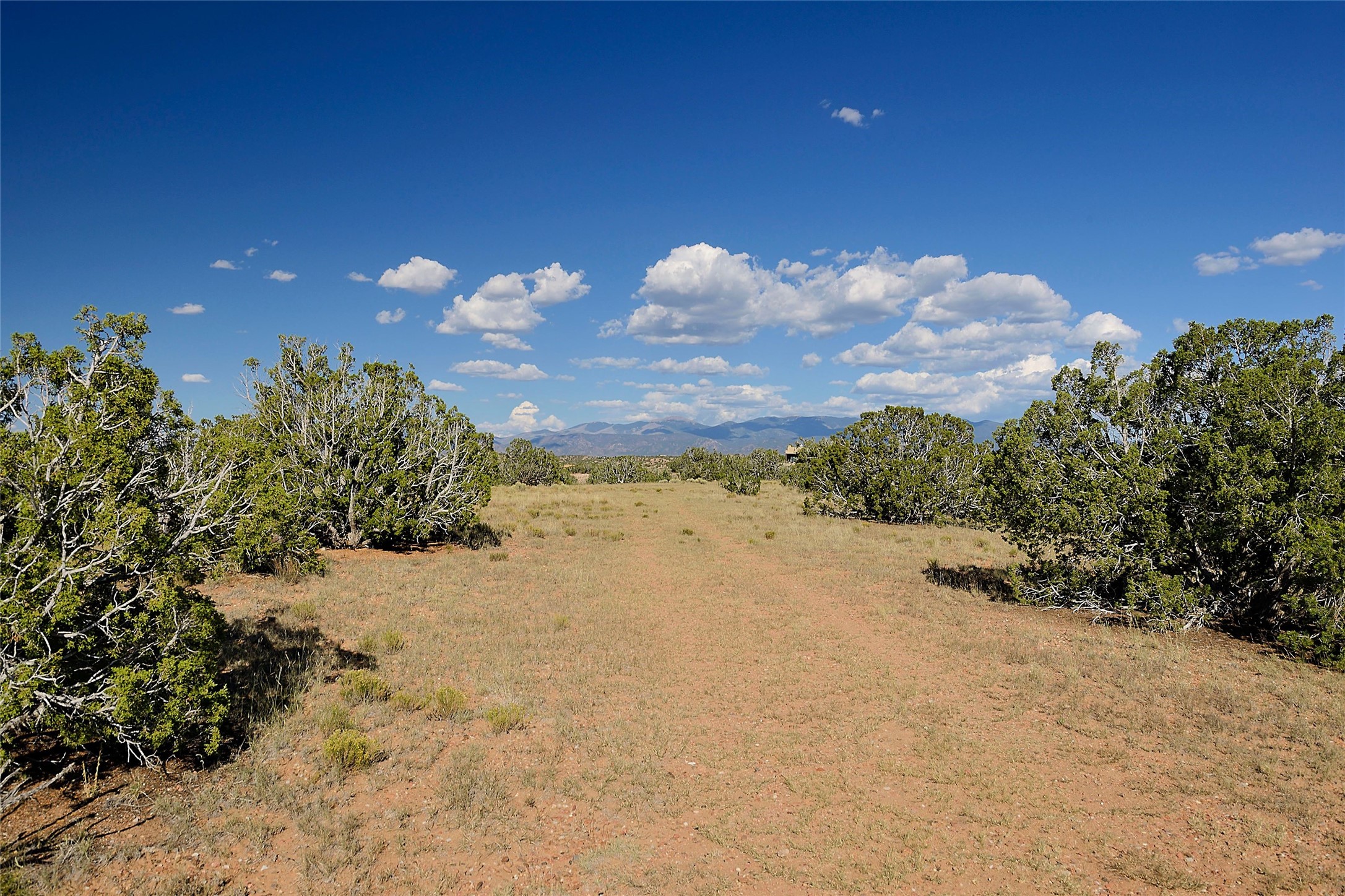 157 Chisholm Trail Lot 46