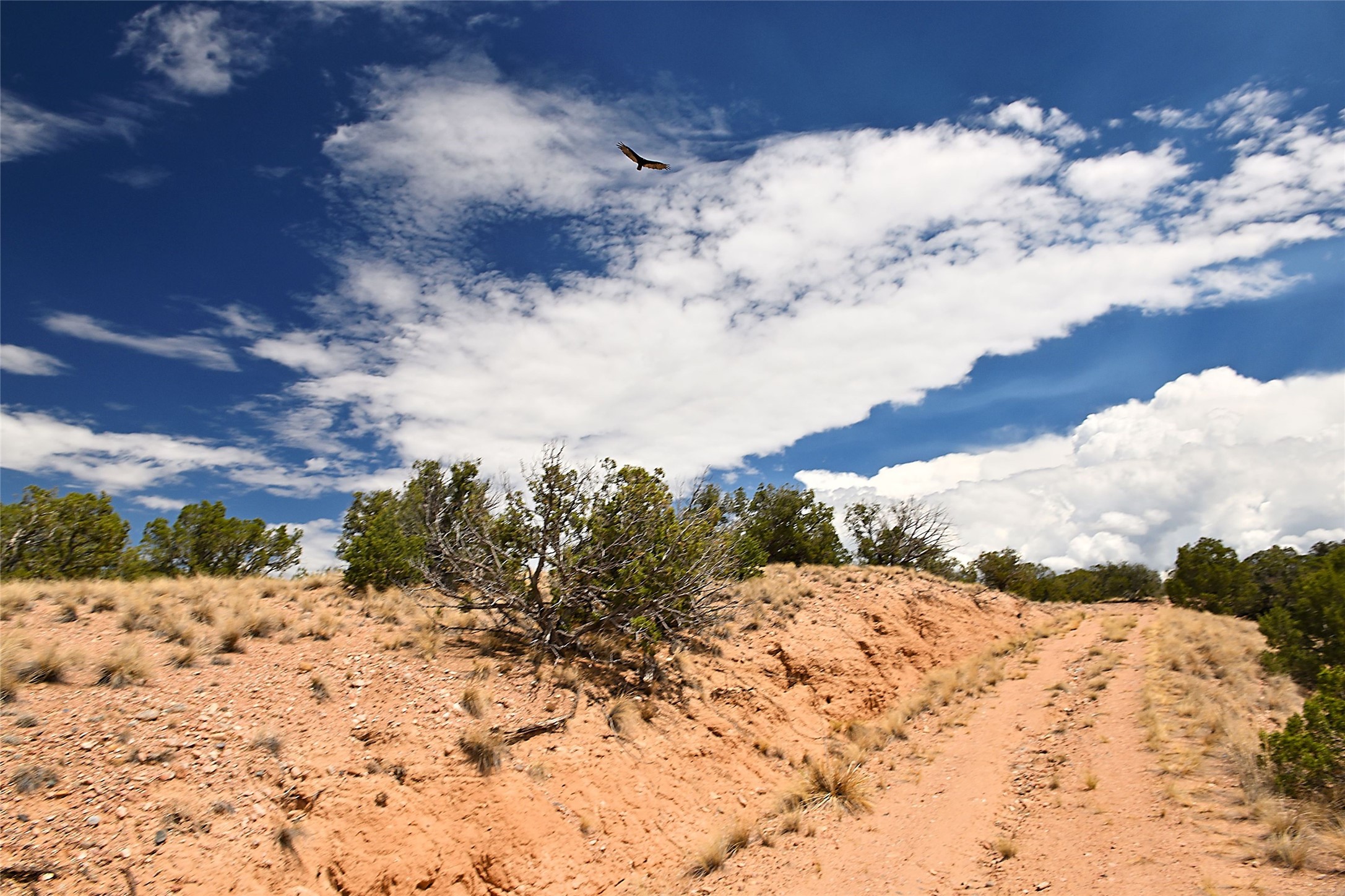 157 Chisholm Trail Lot 46