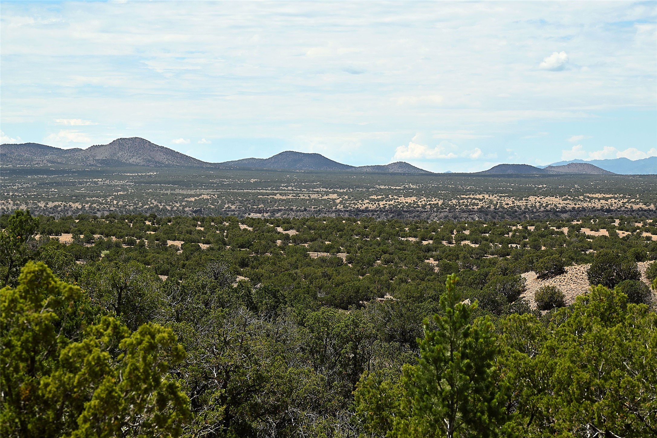 157 Chisholm Trail Lot 46