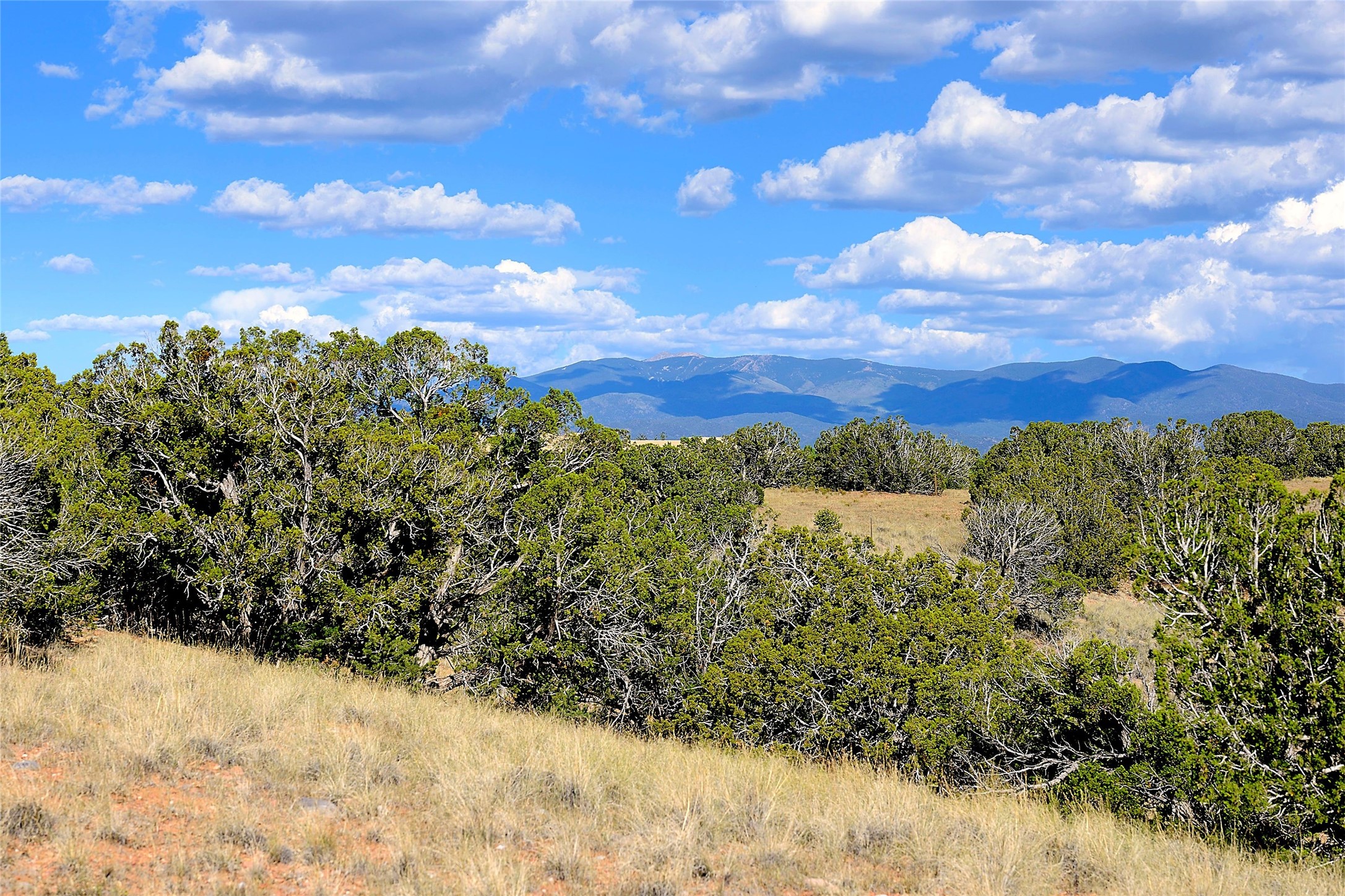 157 Chisholm Trail Lot 46
