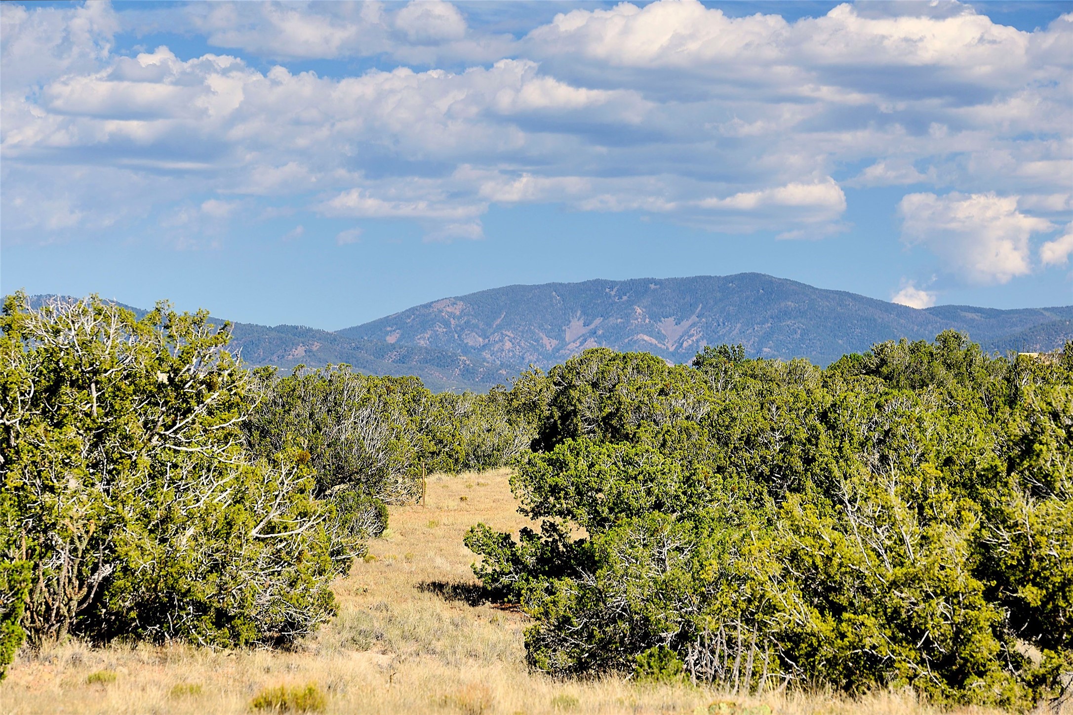 157 Chisholm Trail Lot 46