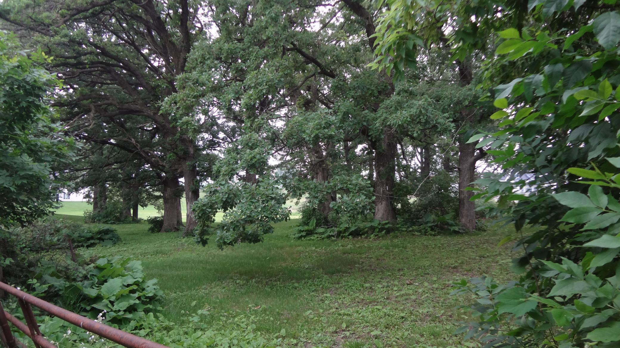 4180 Big Woods Boulevard