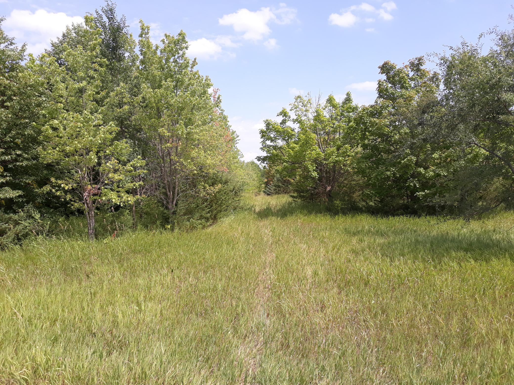 155x Halsey Avenue
