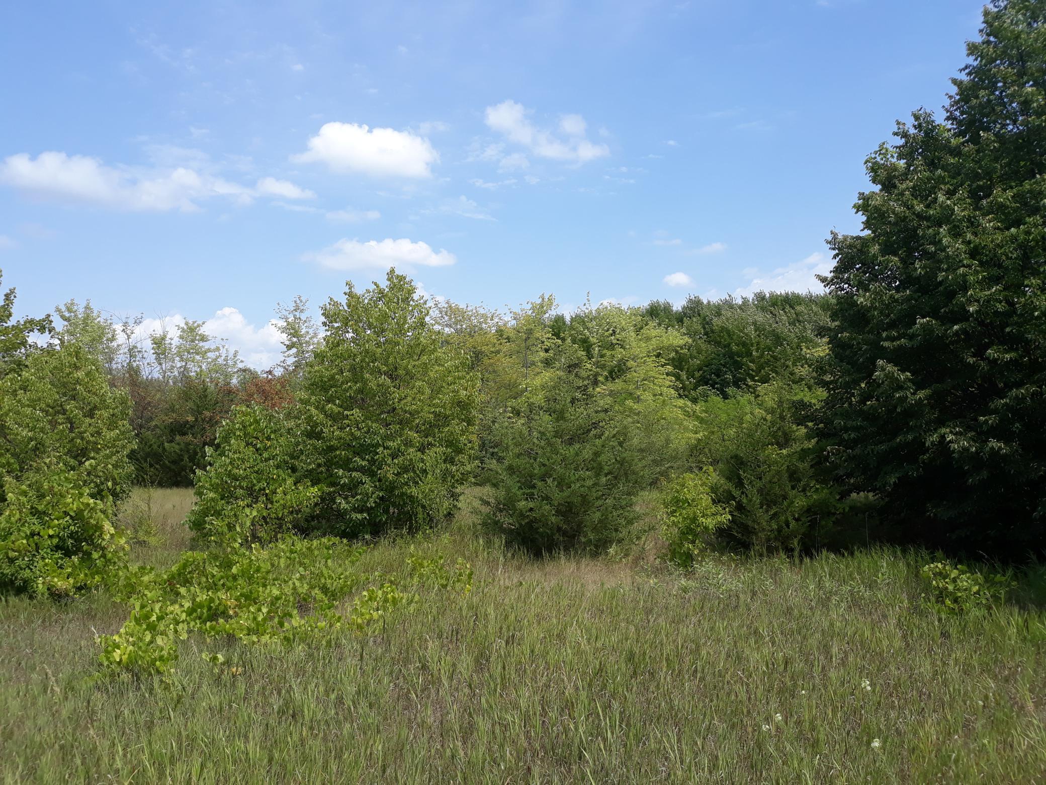 155x Halsey Avenue